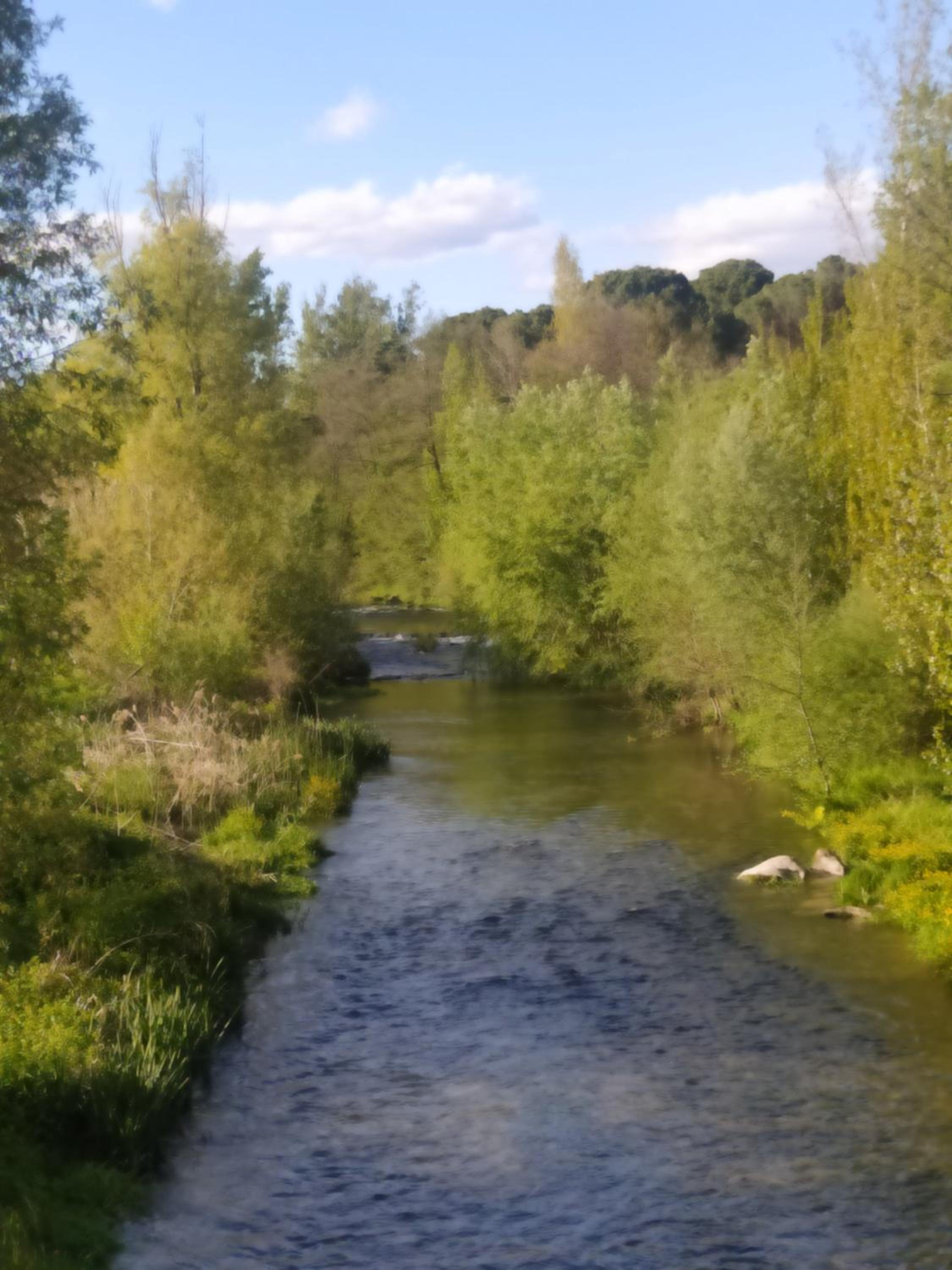 La Porteria