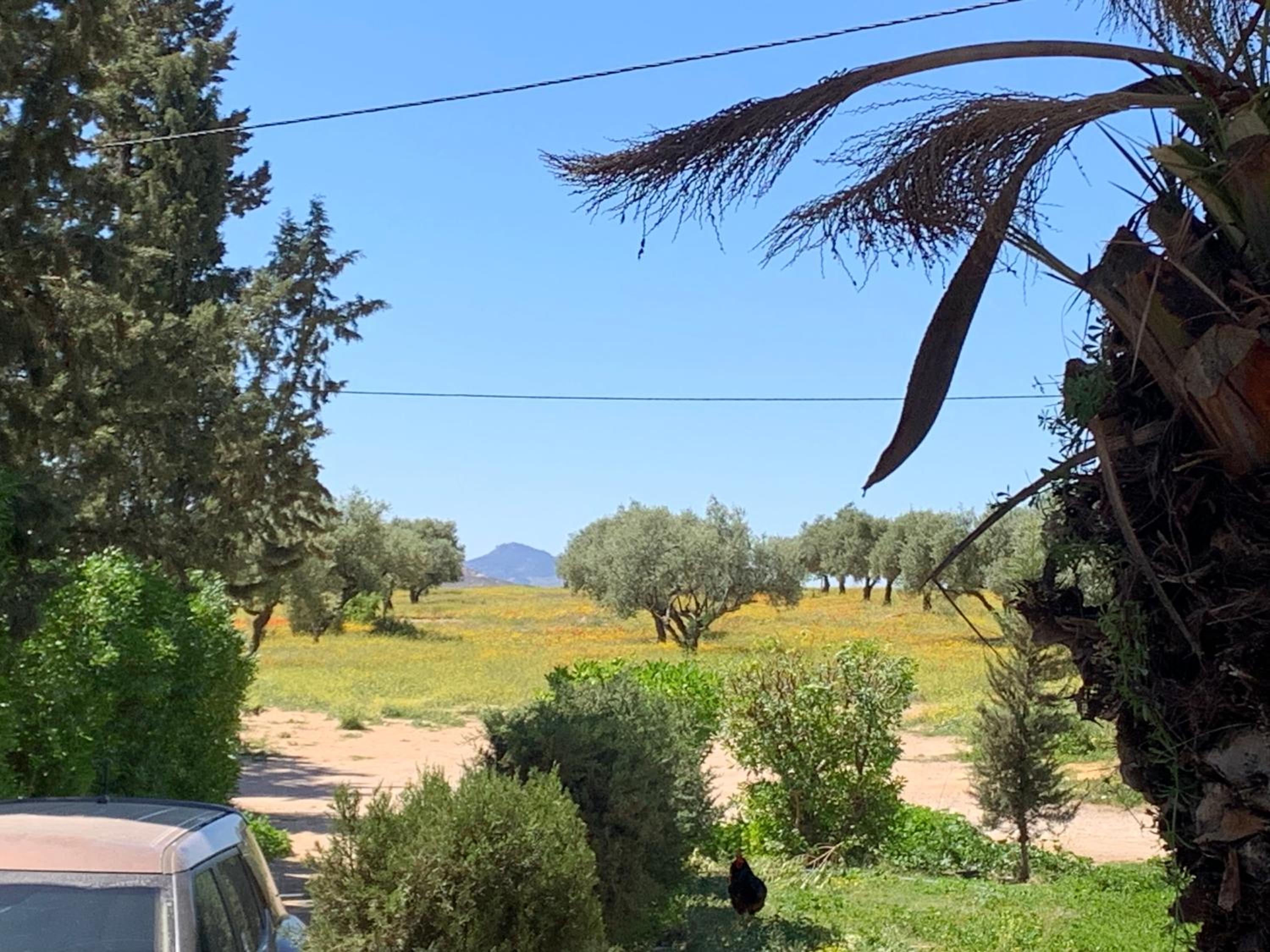 Villa Julia Veneria view 2