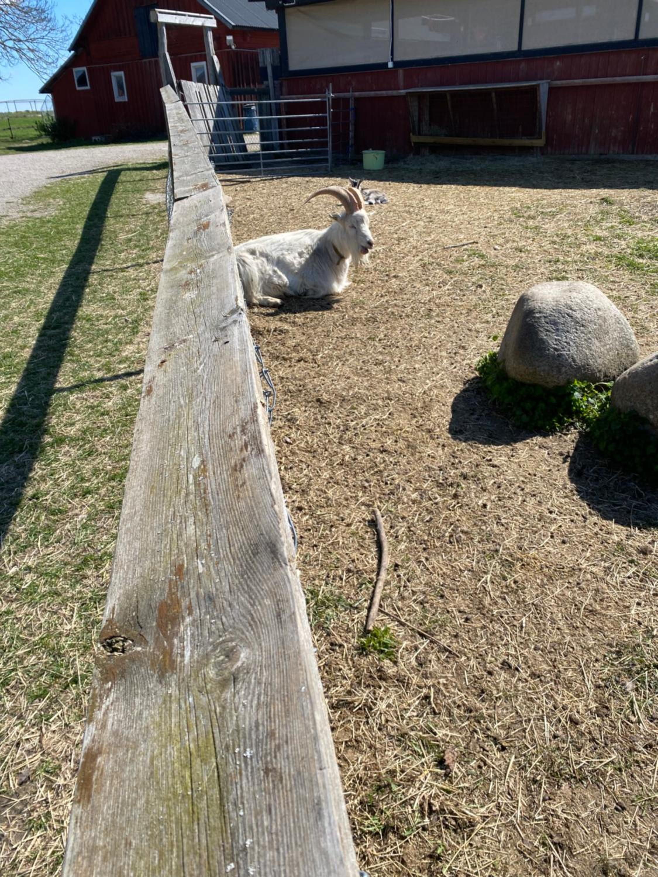 Photo 53