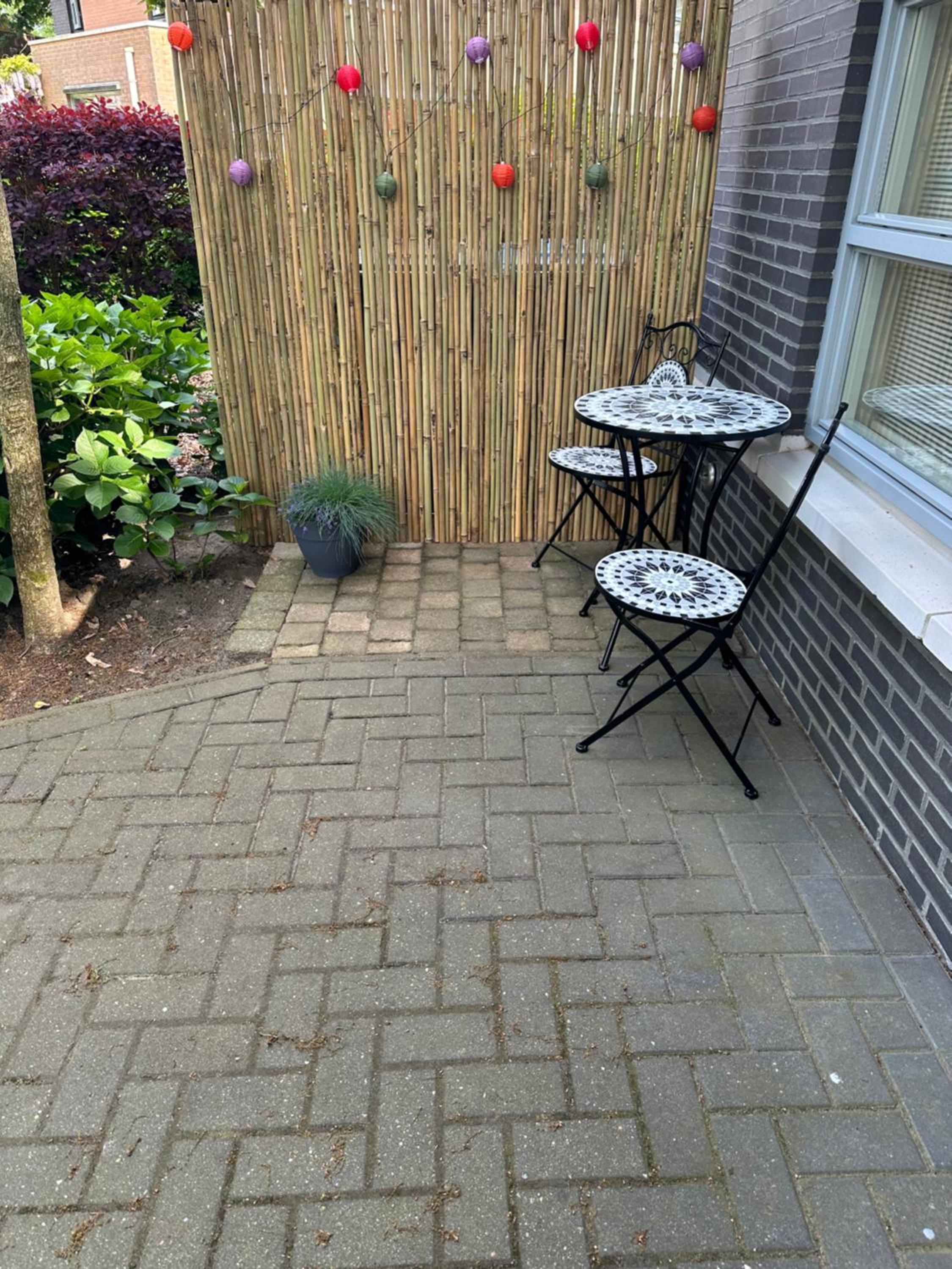 Photo 8