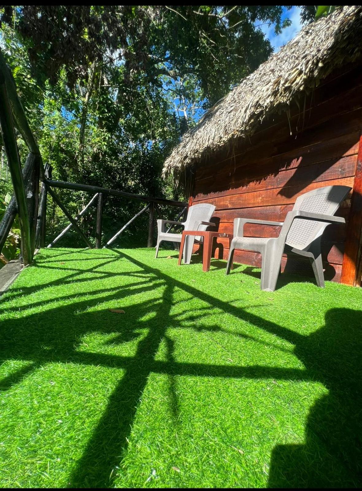 Tropical Samana
