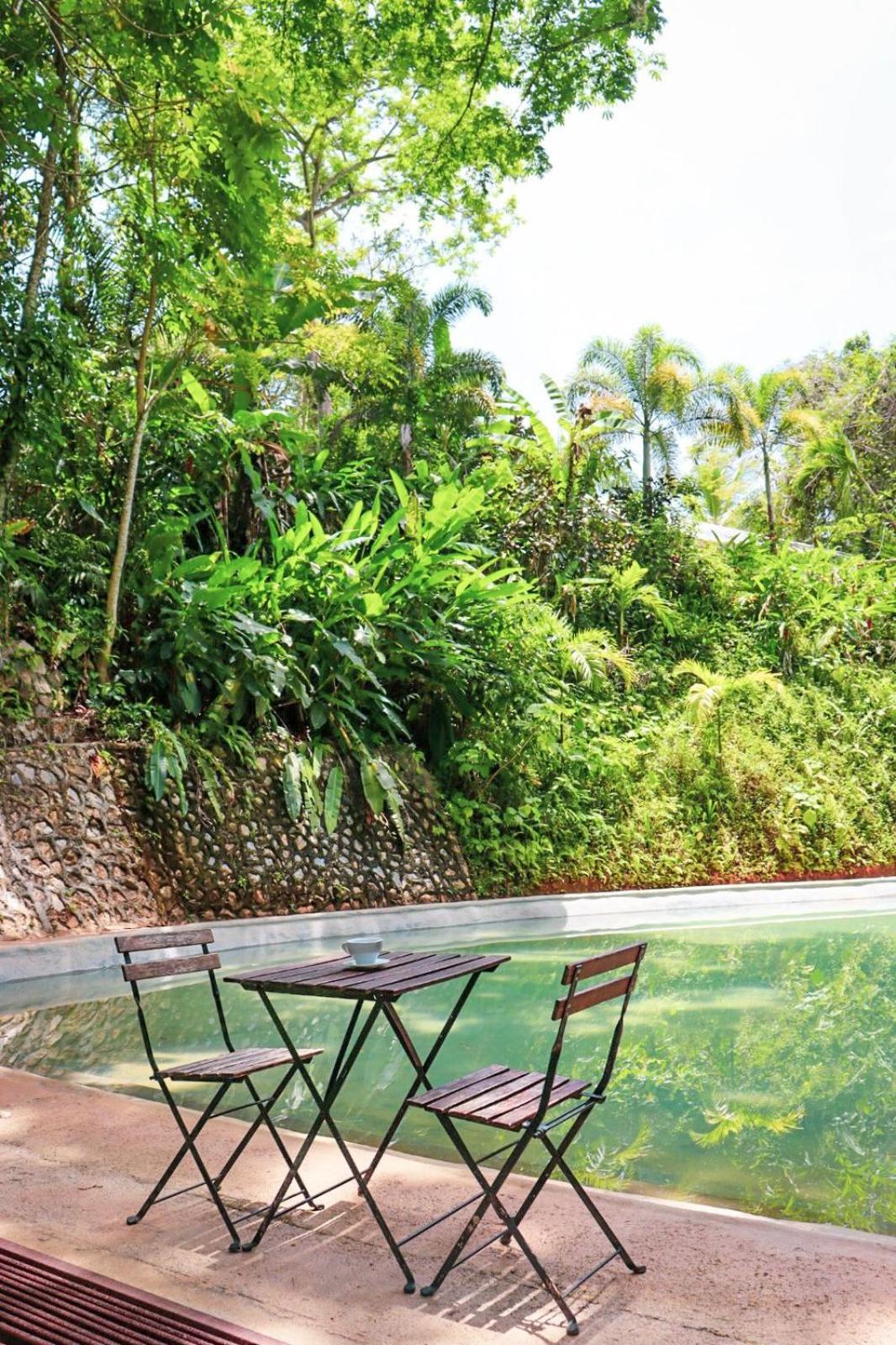 Tropical Samana