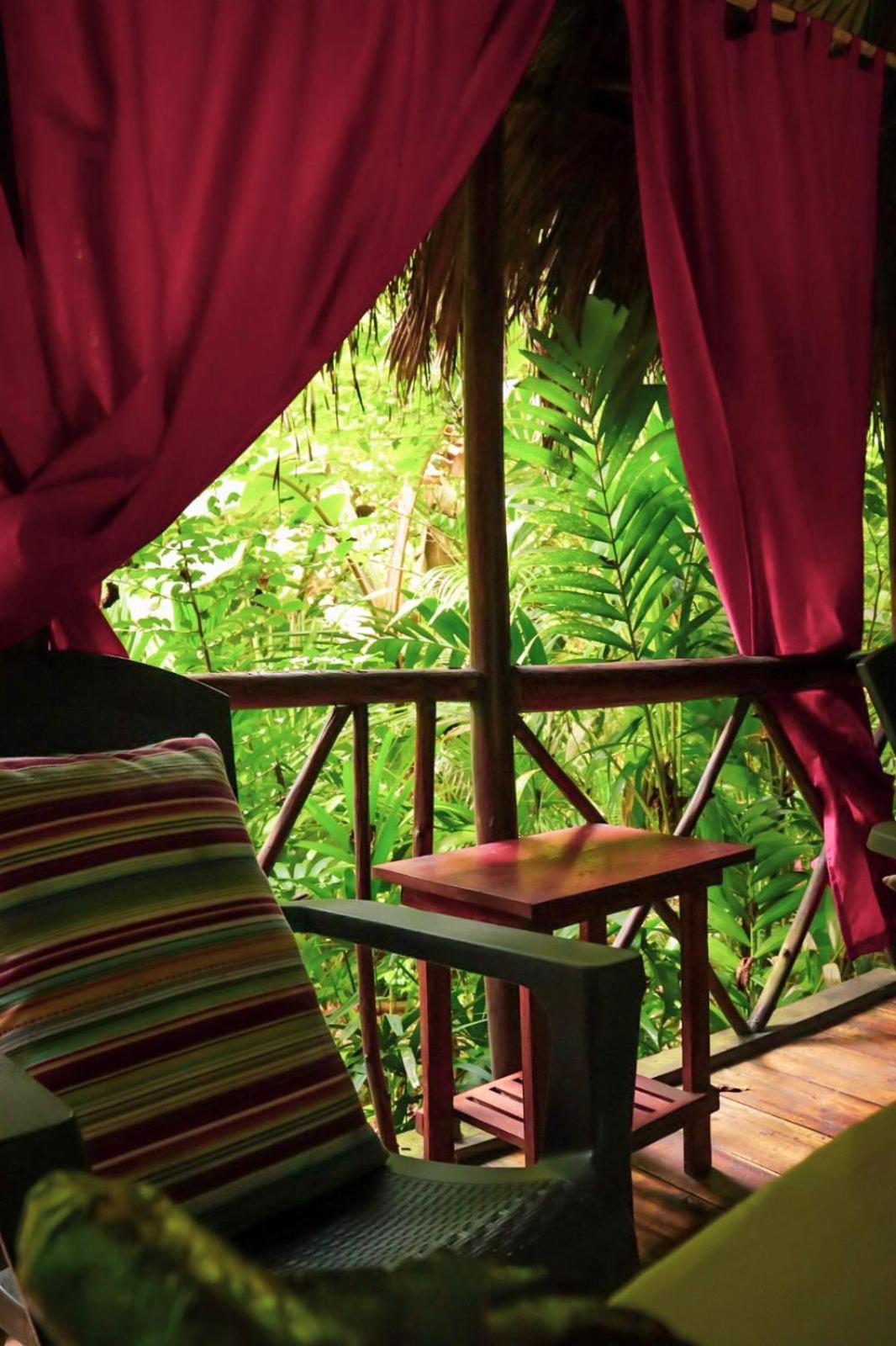 Tropical Samana