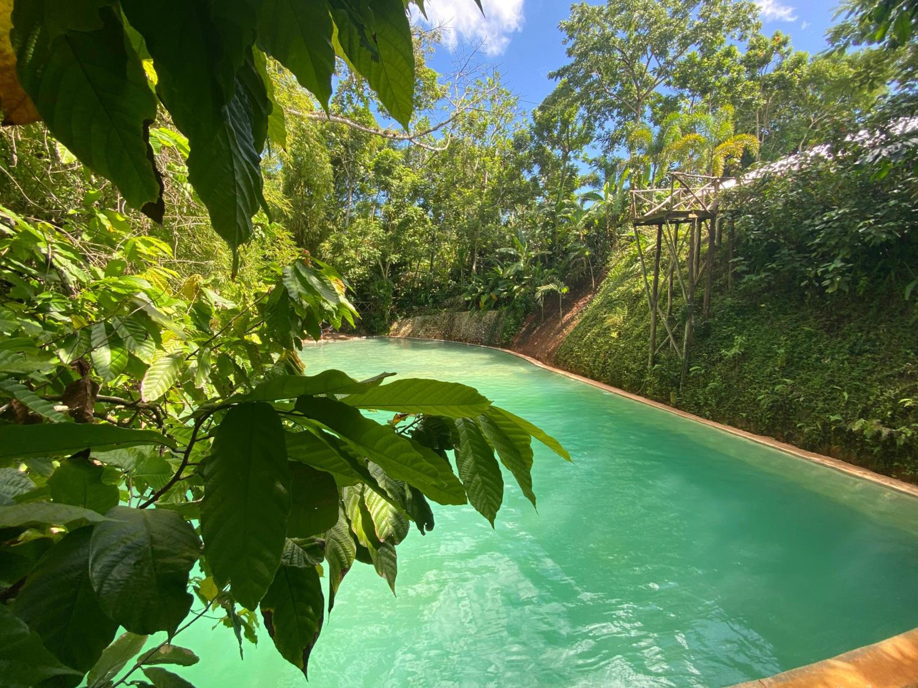 Tropical Samana