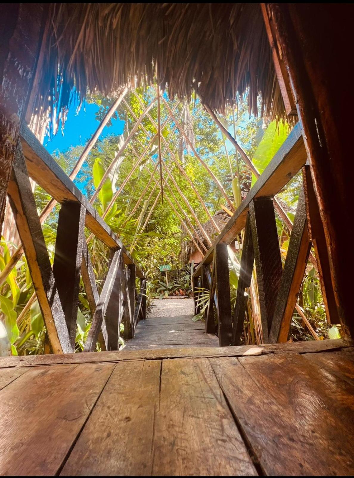 Tropical Samana