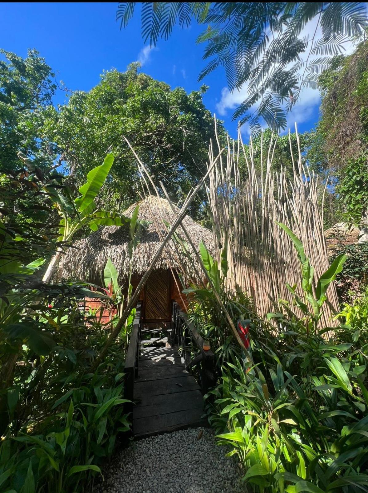 Tropical Samana