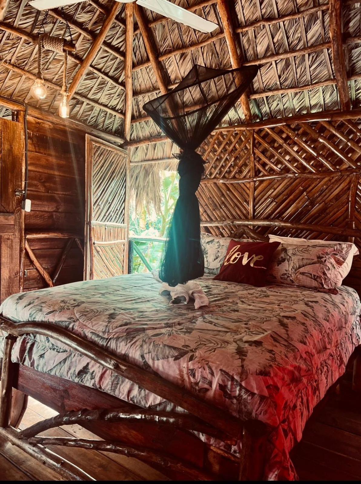 Tropical Samana