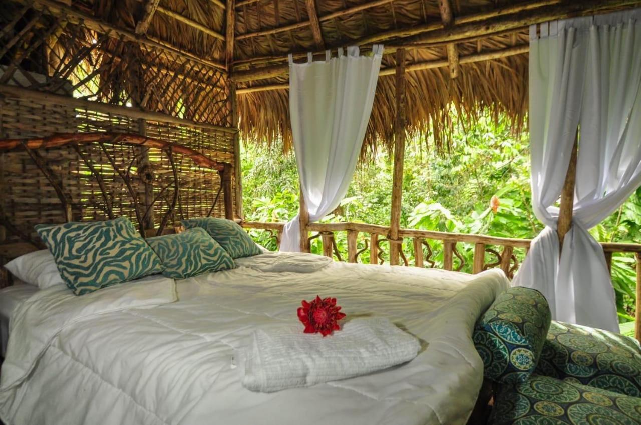 Tropical Samana
