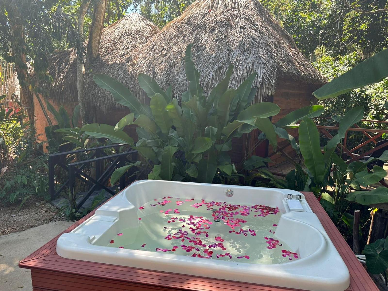Tropical Samana