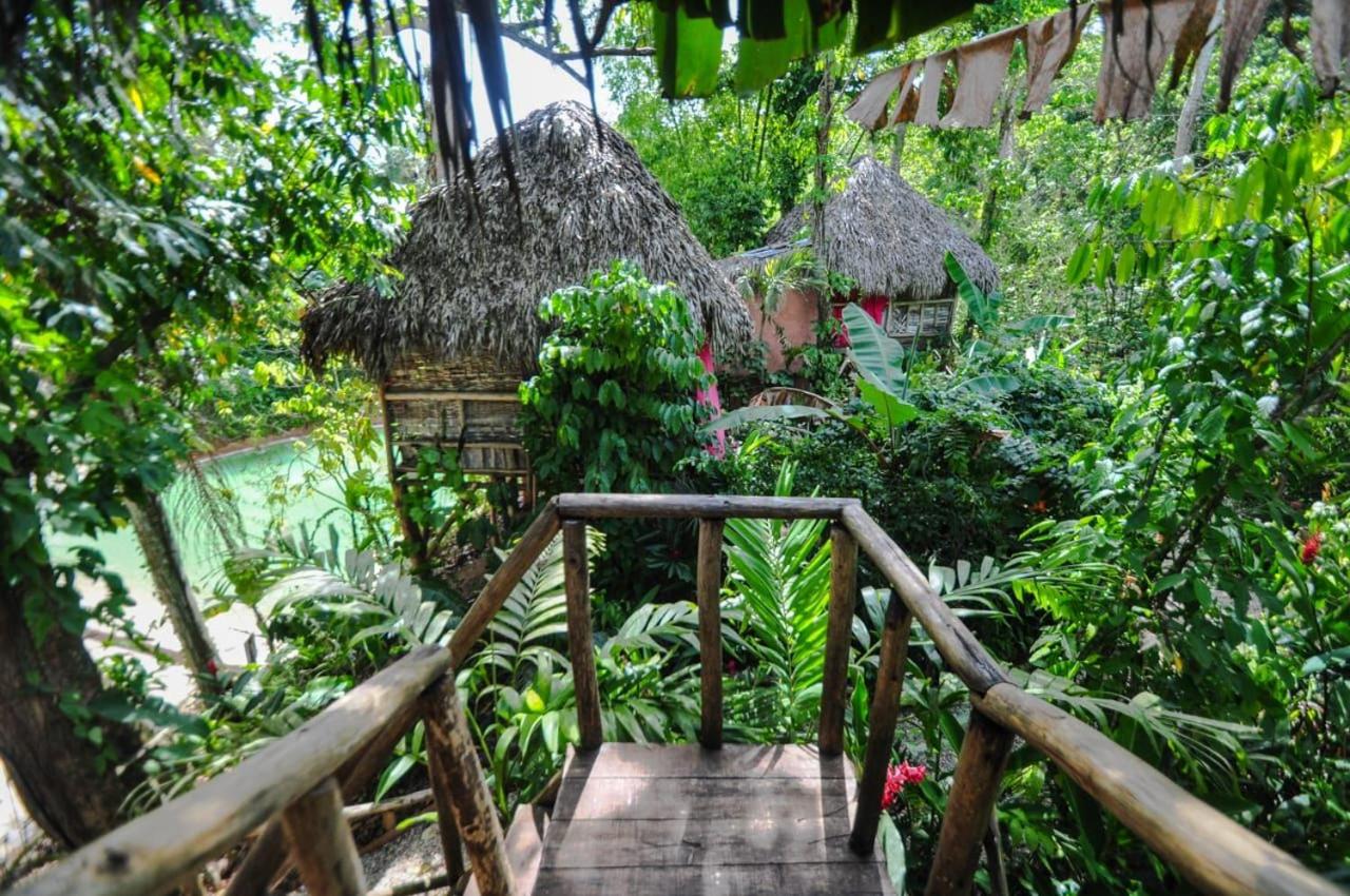 Tropical Samana