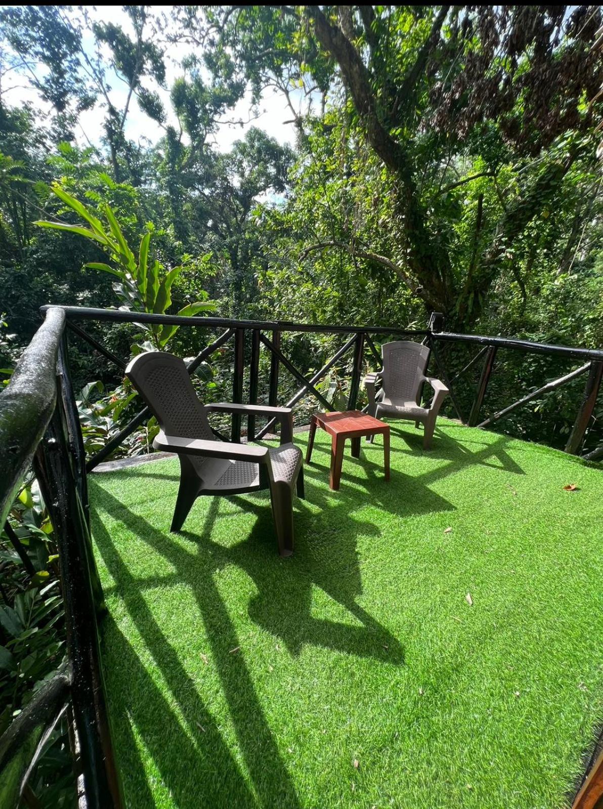 Tropical Samana