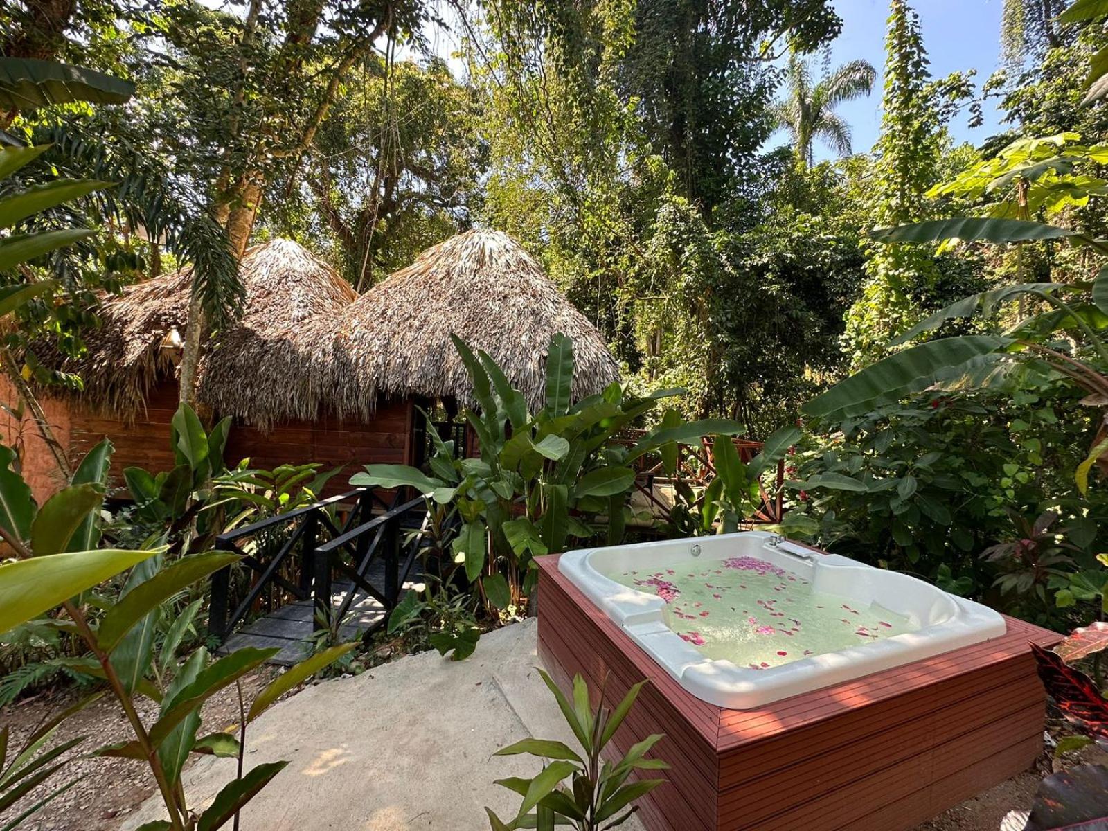 Tropical Samana