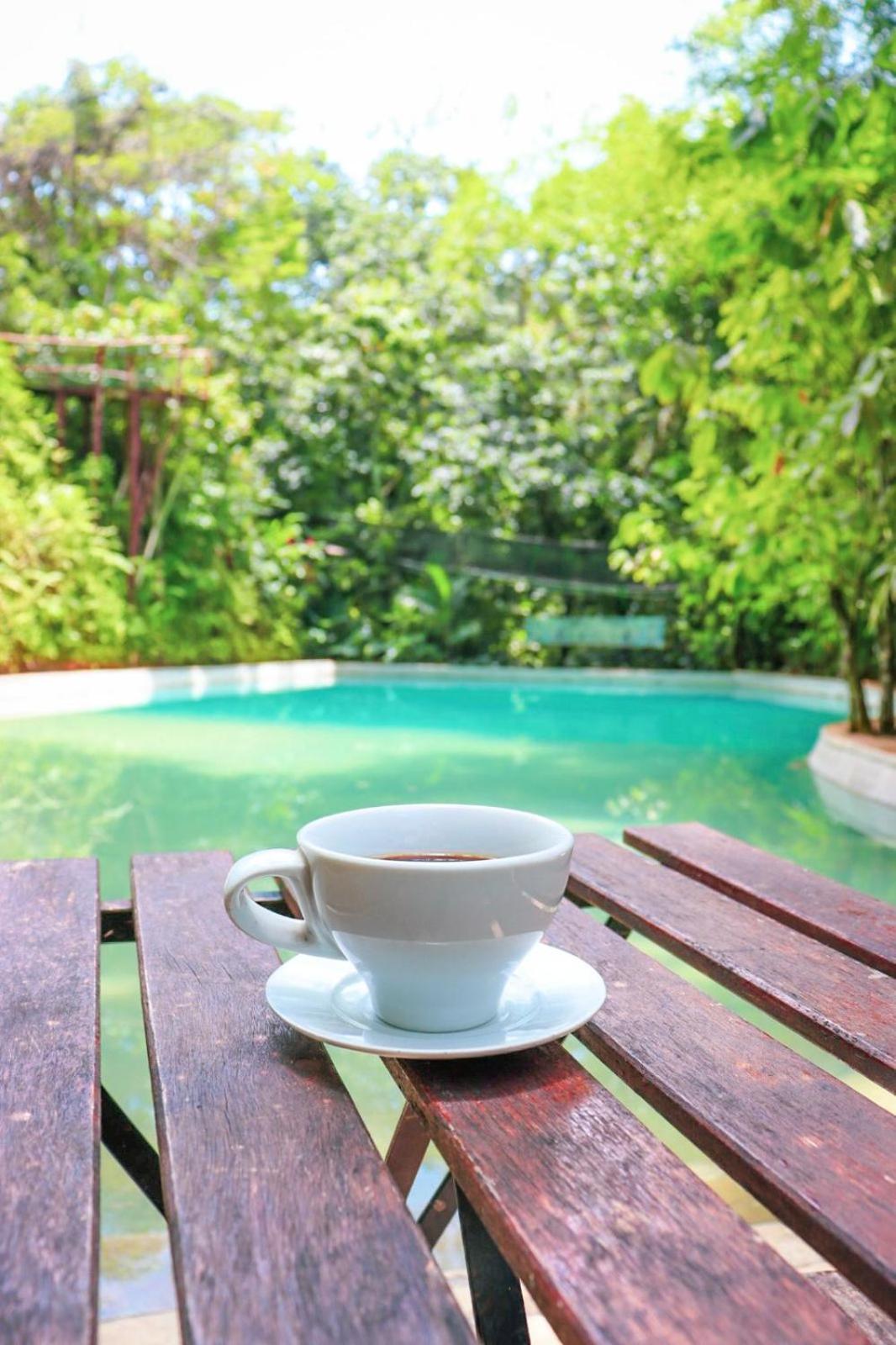 Tropical Samana