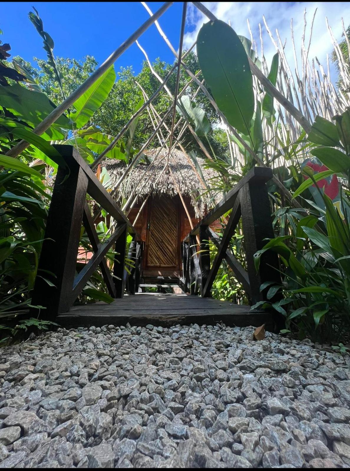 Tropical Samana