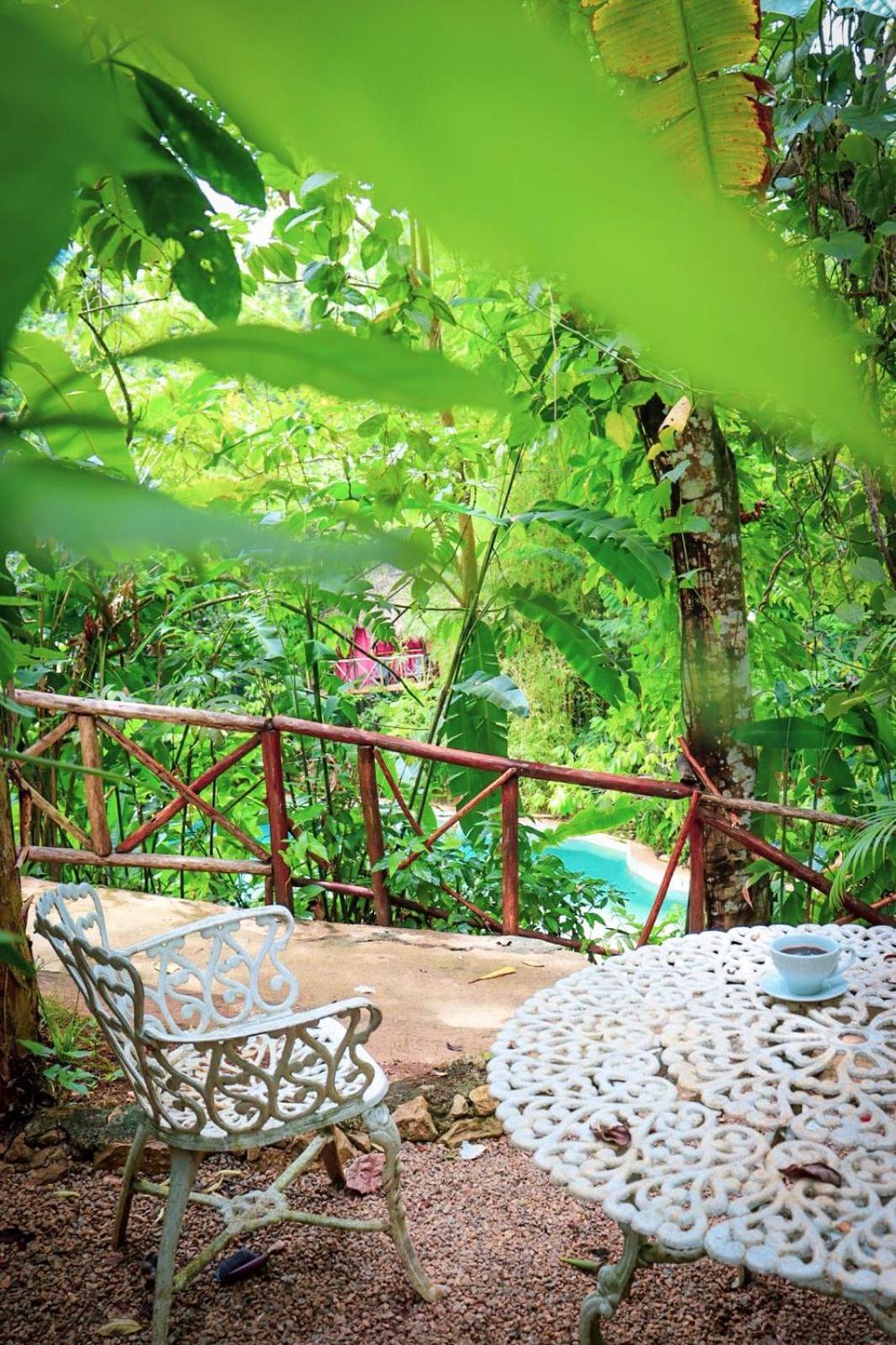 Tropical Samana