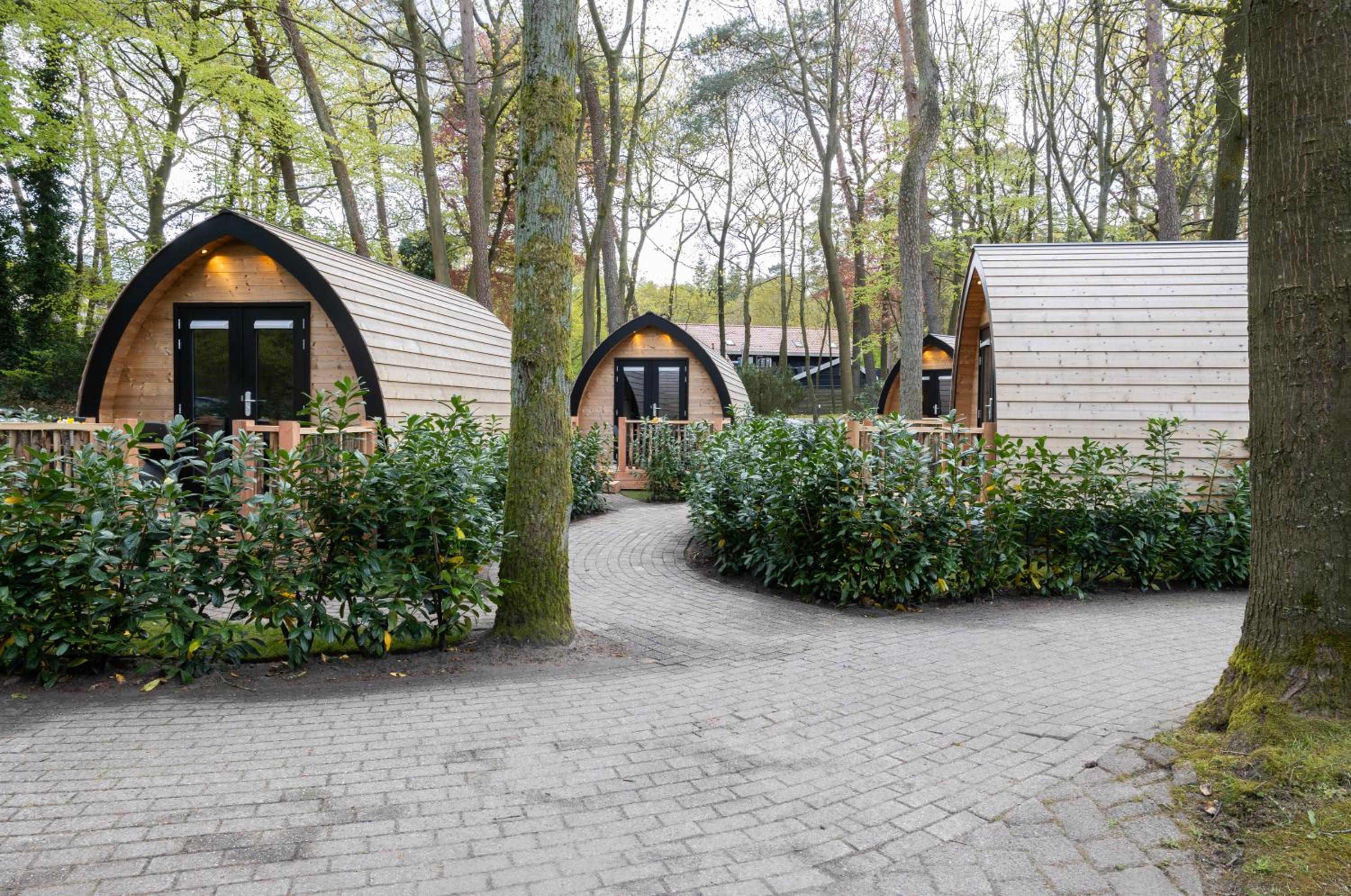 Boslodges Veluwe