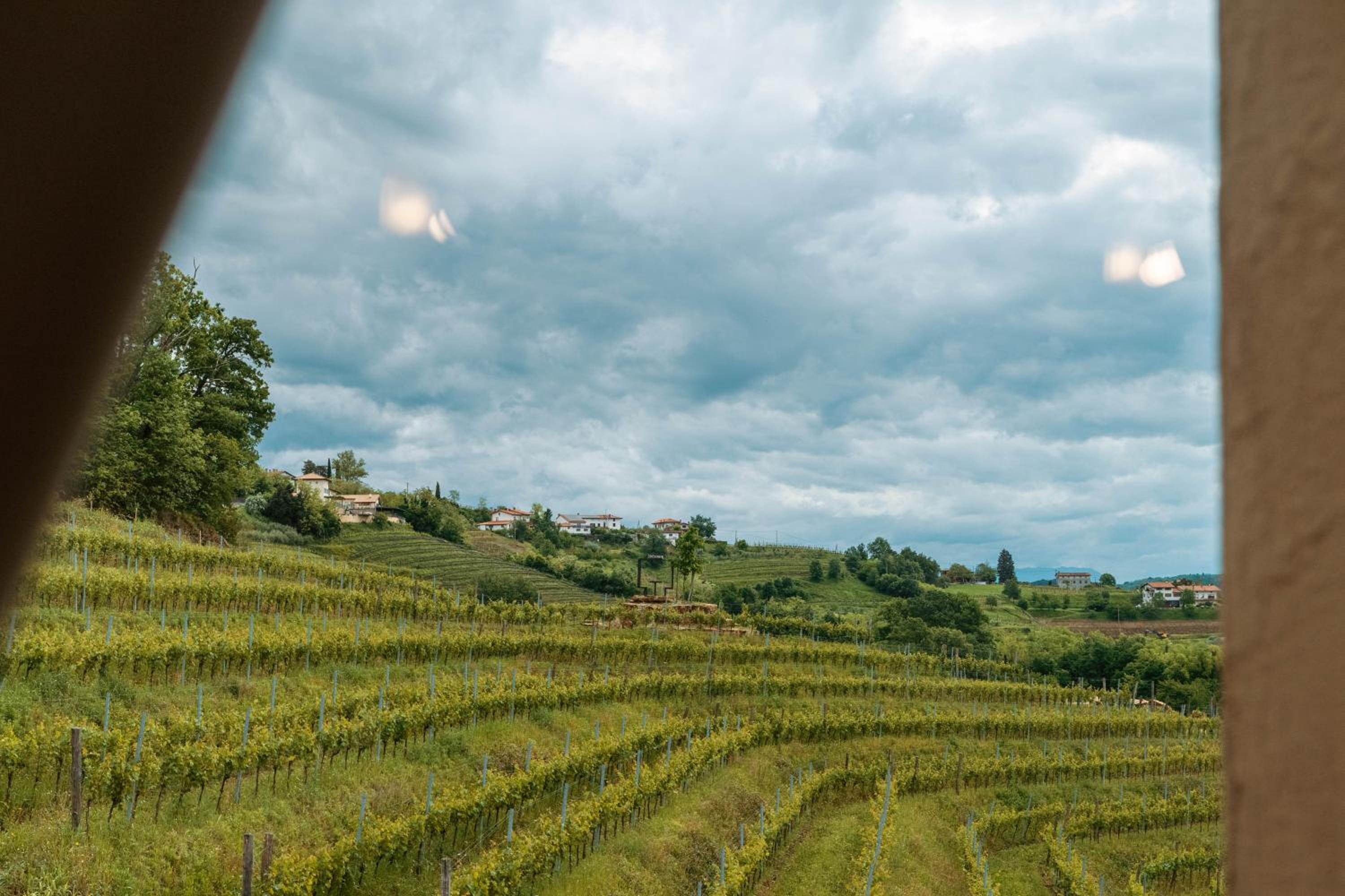 Posestvo Ščurek wine