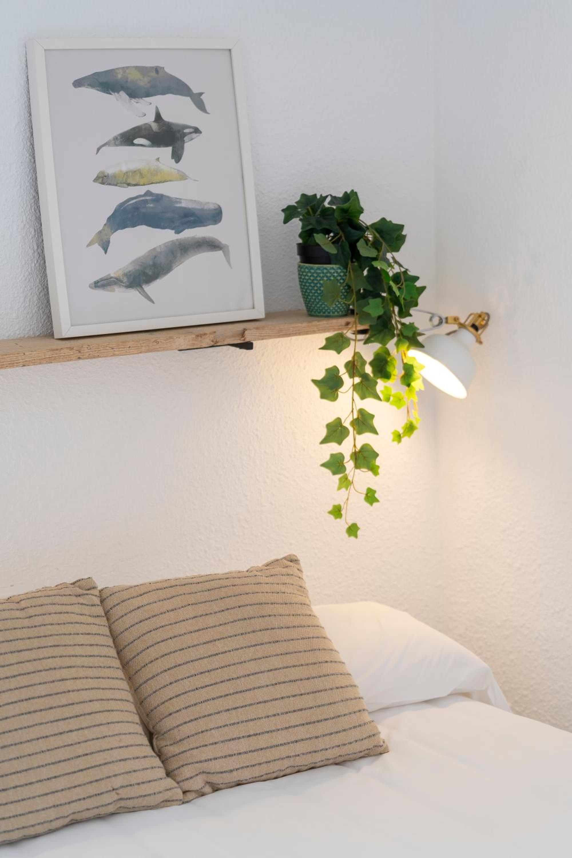 Apartamentos CASA MAREA Calella Palafrugell con Parking