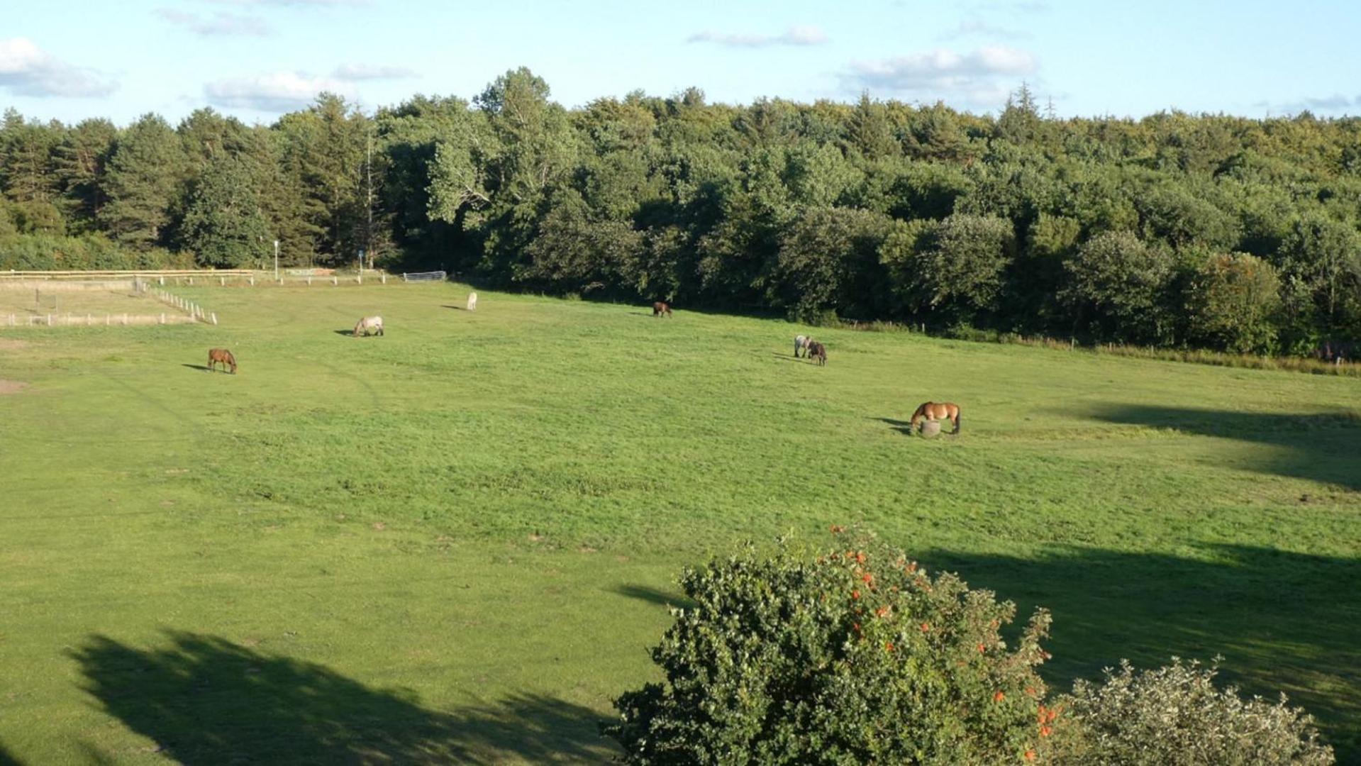 Quartier Hohe Geest 17 - Nord Seestern
