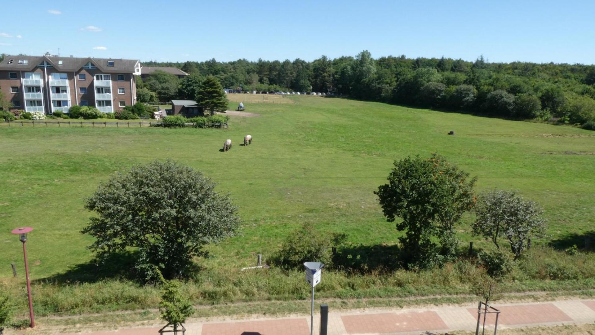 Quartier Hohe Geest 17 - Nord Seestern