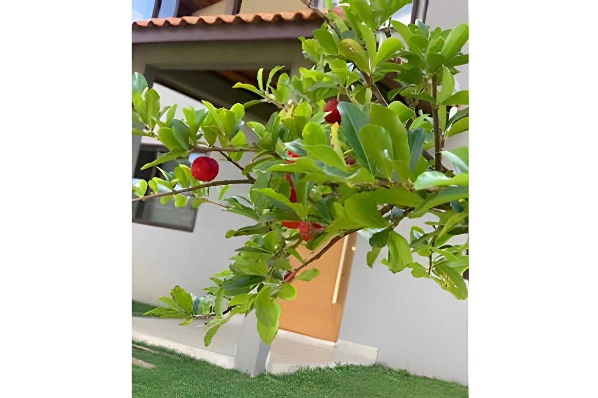 Casa moderna e completa, Atibaia