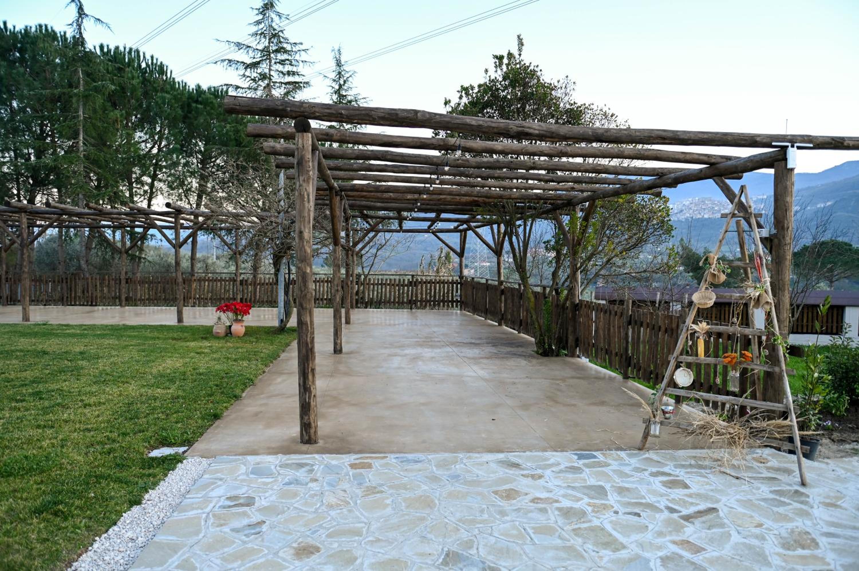 Photo 27