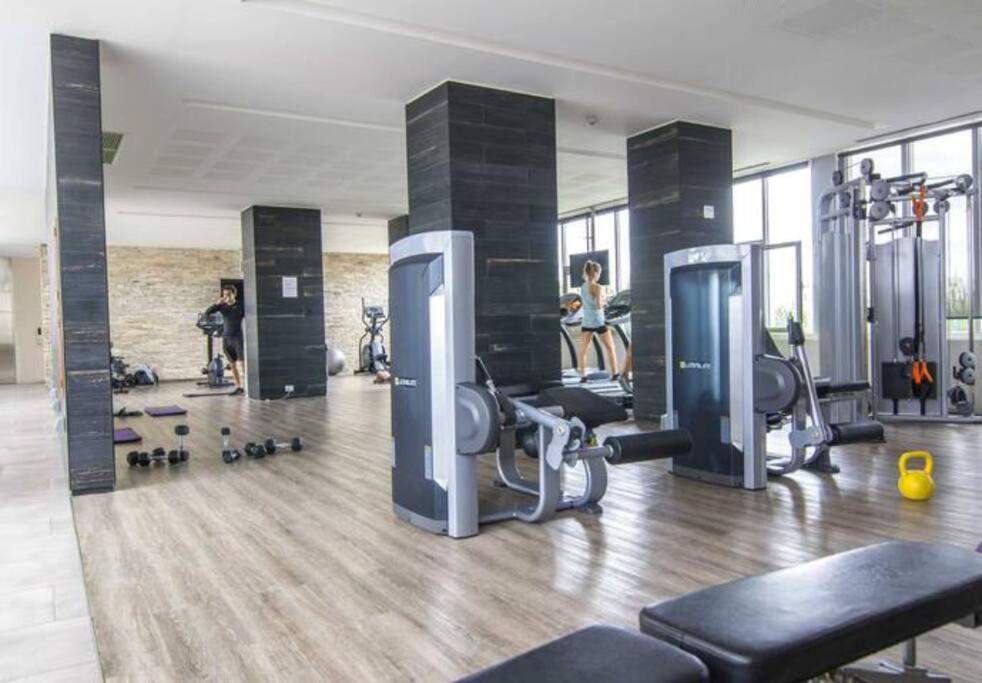 Alma Rentals Palermo