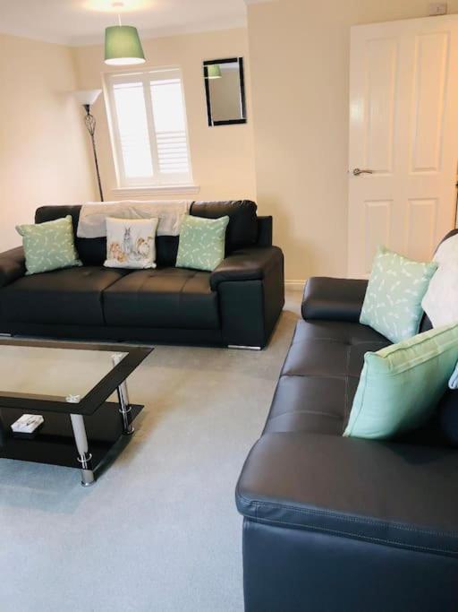 Sanctuary Cottage - close to the centre of Anstruther view 5