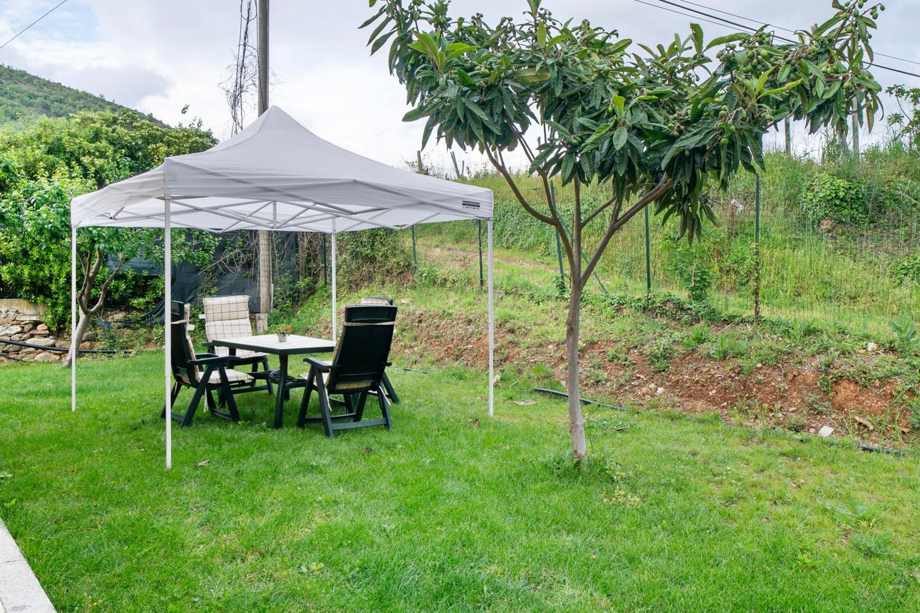 Il Frutteto 50 en Ortovero — other