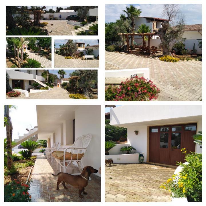 Mery House