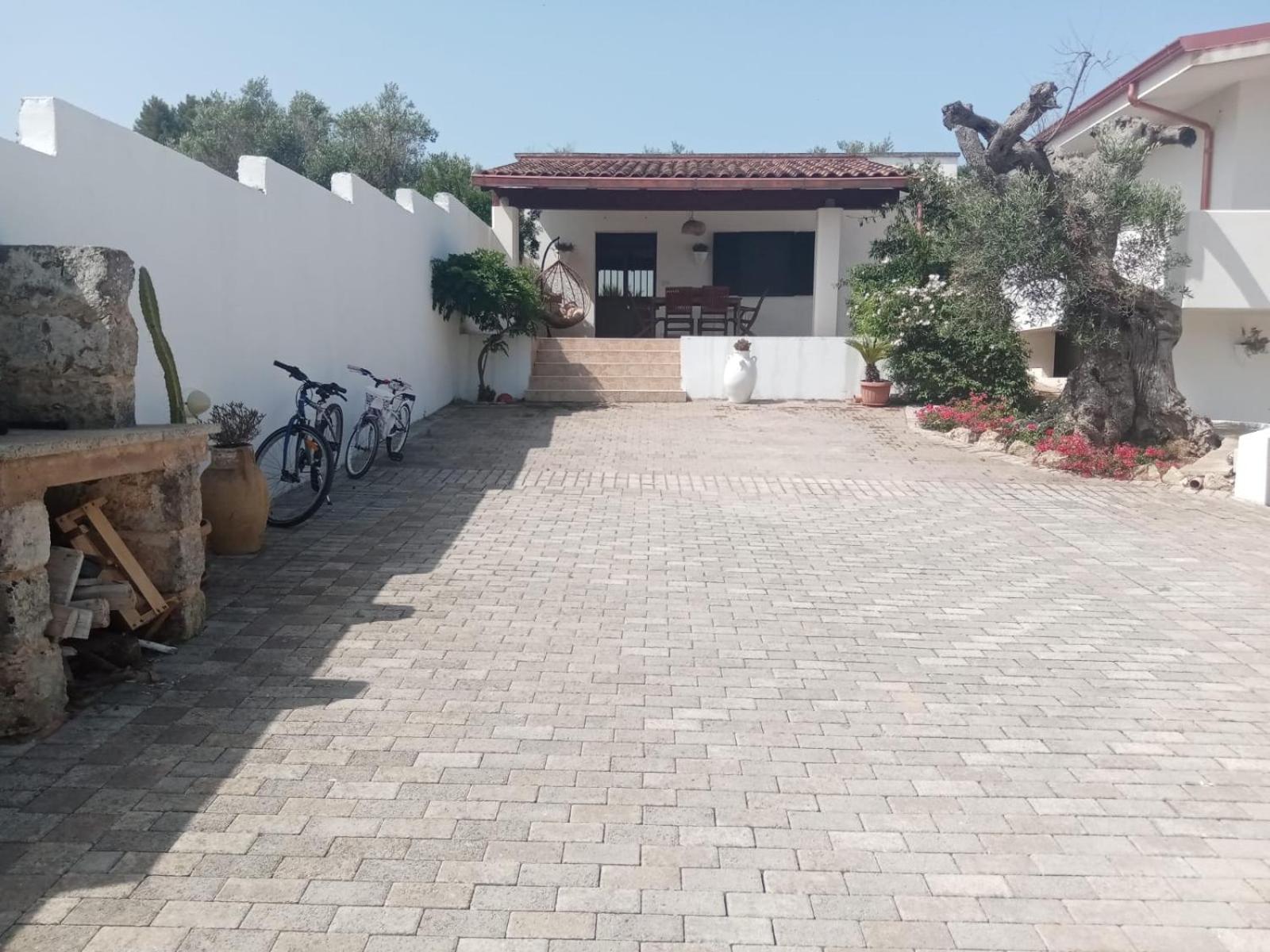 Mery House
