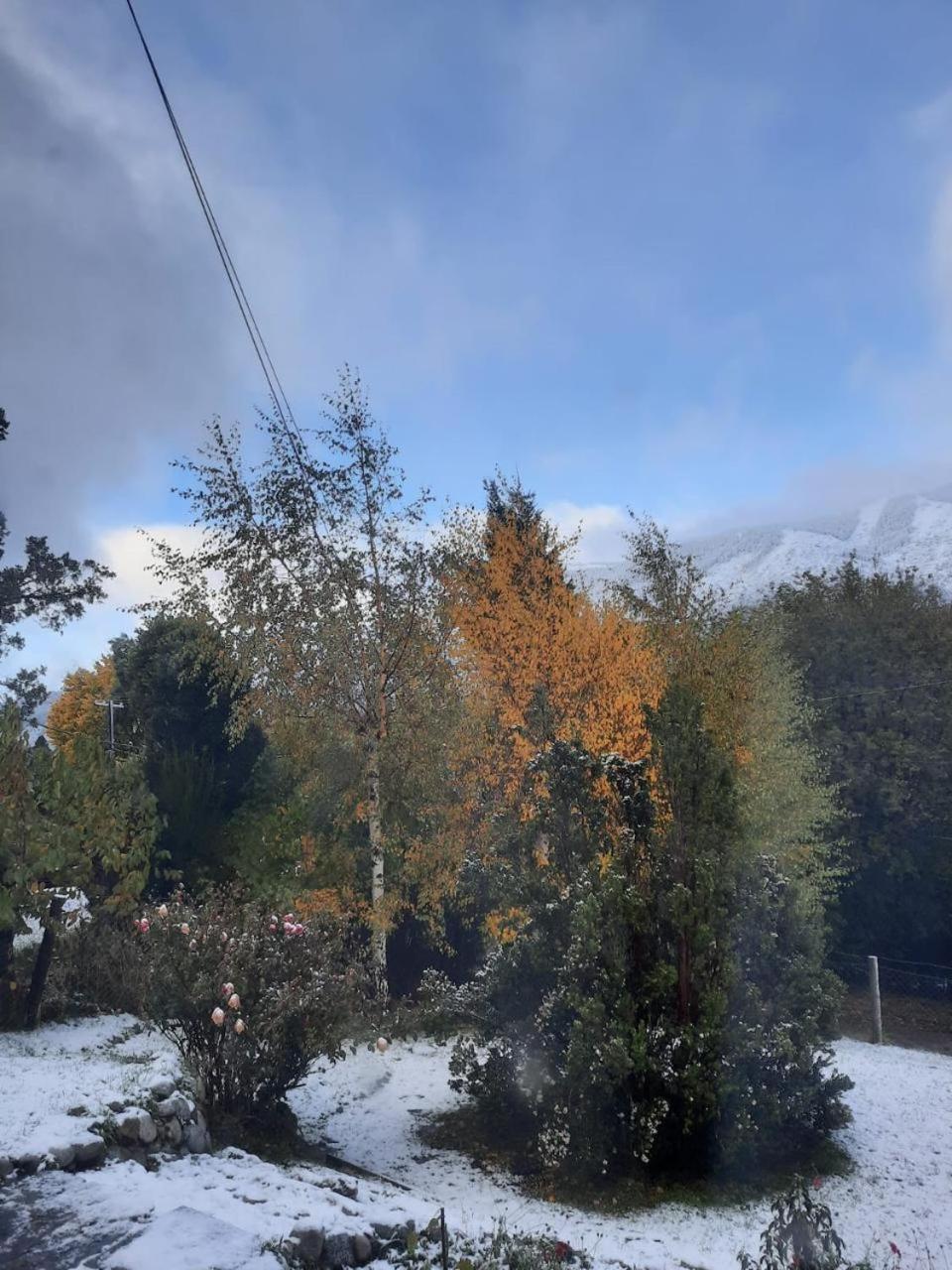 Disfrutá esta Clásica Cabaña Barilochense al pie del Cerro Otto