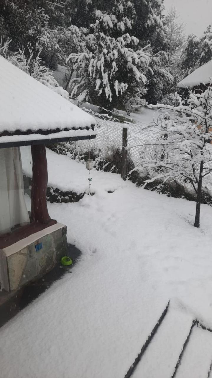 Disfrutá esta Clásica Cabaña Barilochense al pie del Cerro Otto