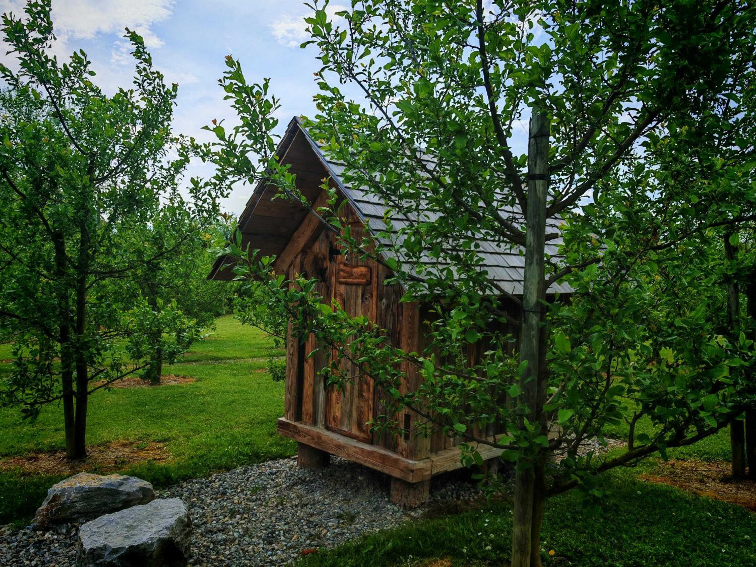 Baumhaus Heuhütte