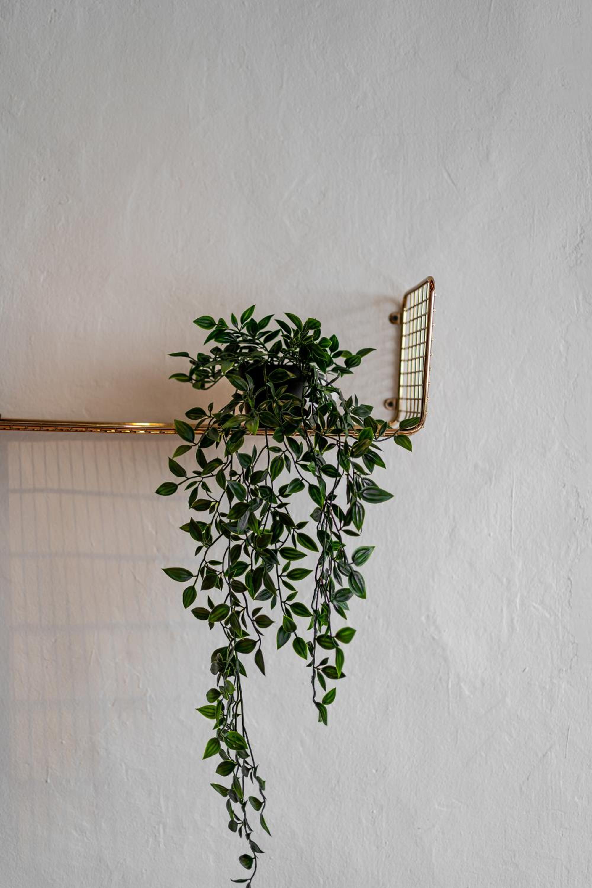 Caryn Vintage Guesthouse photo 4