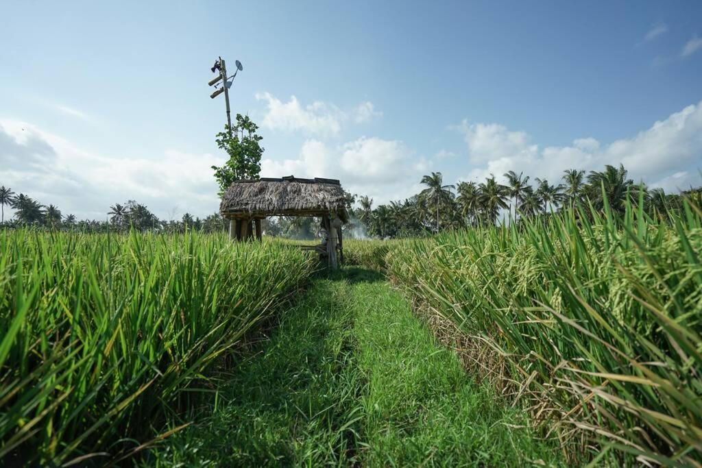 Villa Java an unique 3 bdr villa overlooking rice paddies view 2