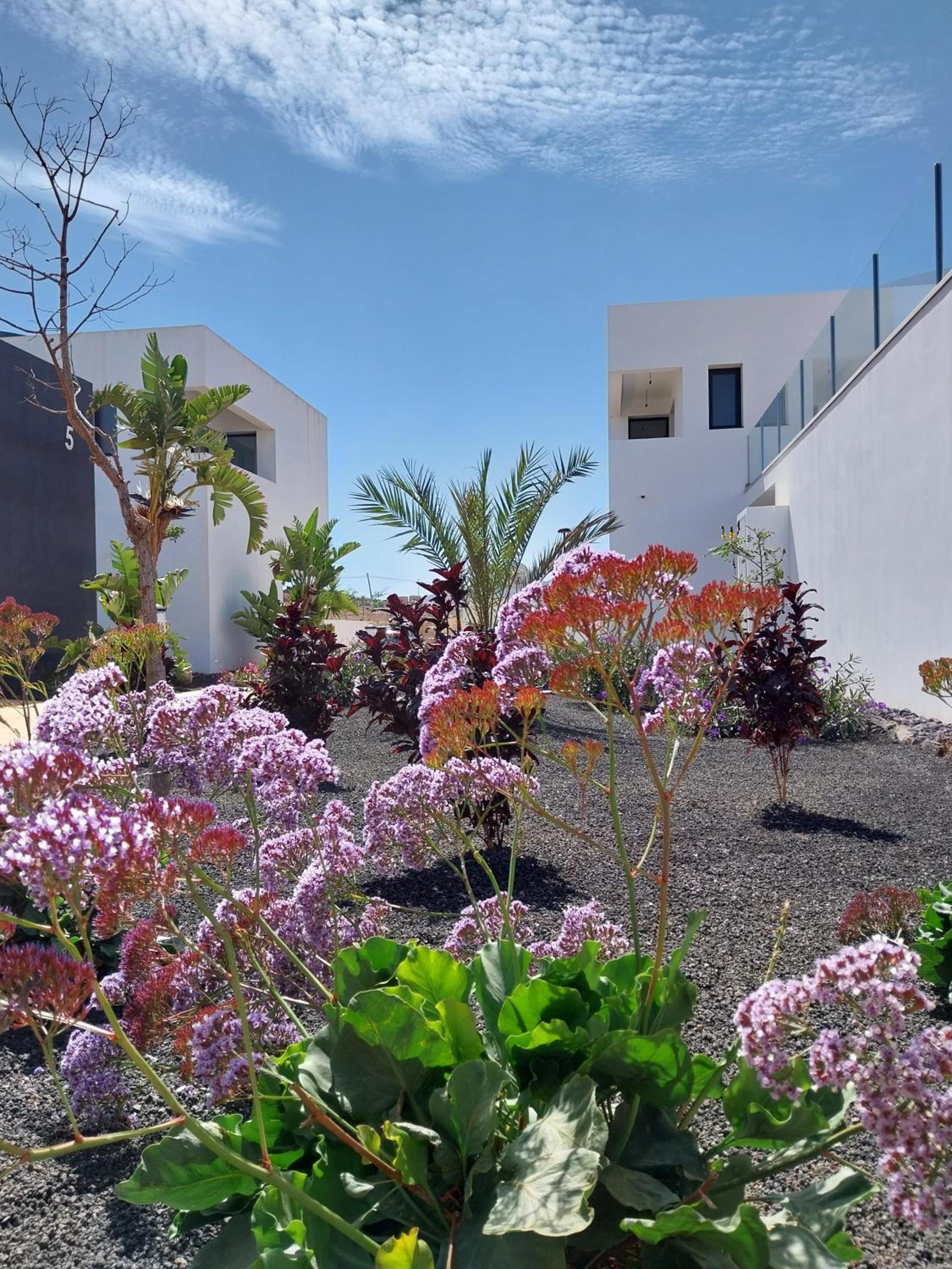 Fuerte Paradise by Sea You There Fuerteventura