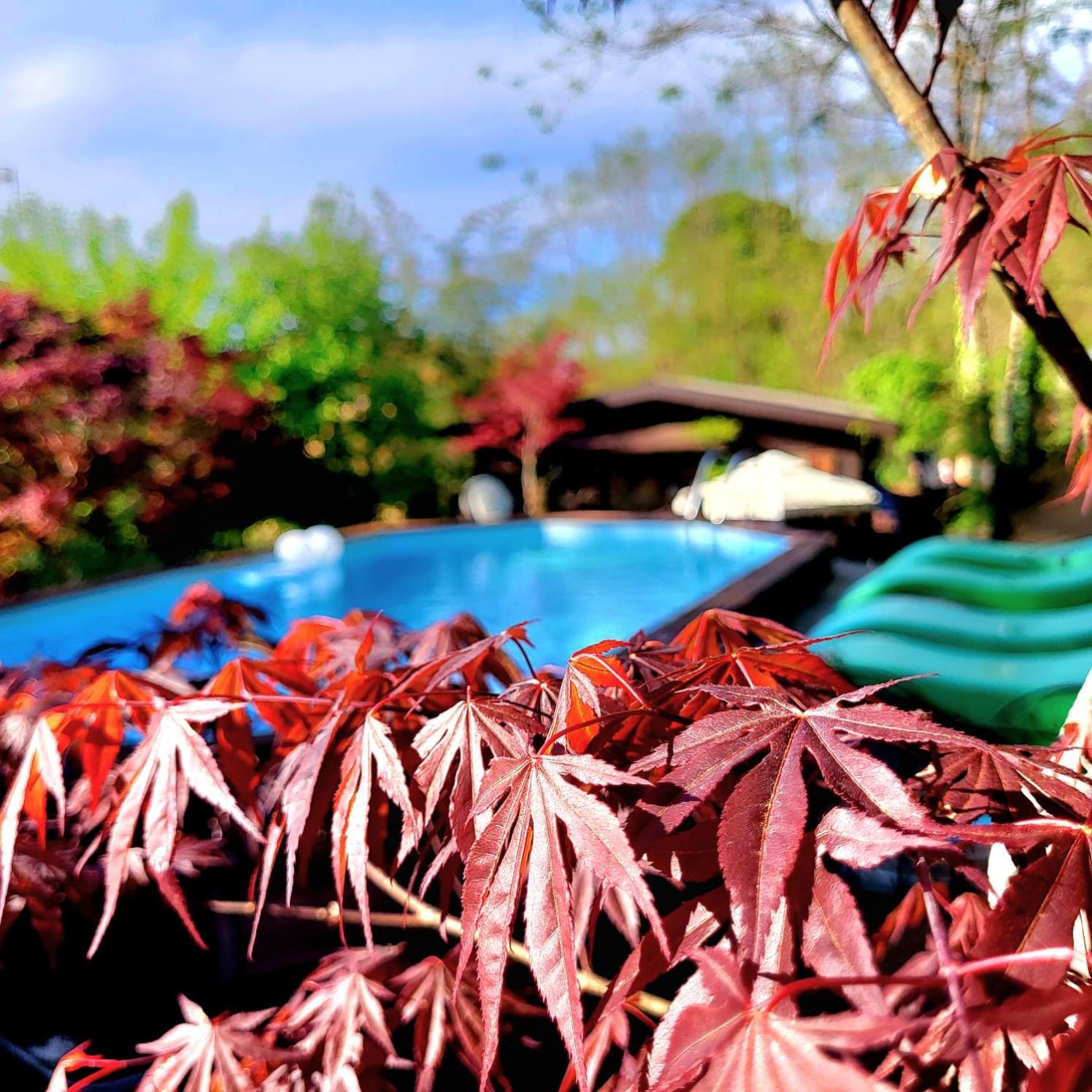B&B Relais Cascina al Campaccio view 3