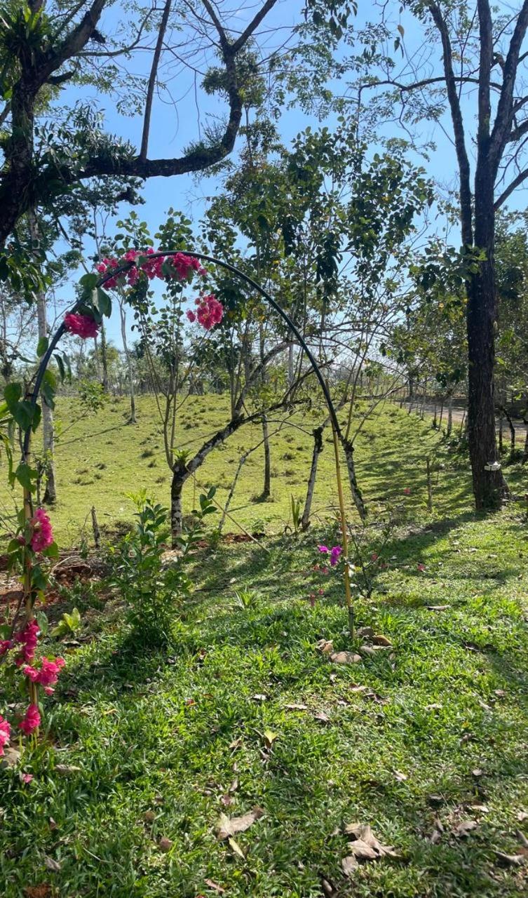 Finca Las Marías