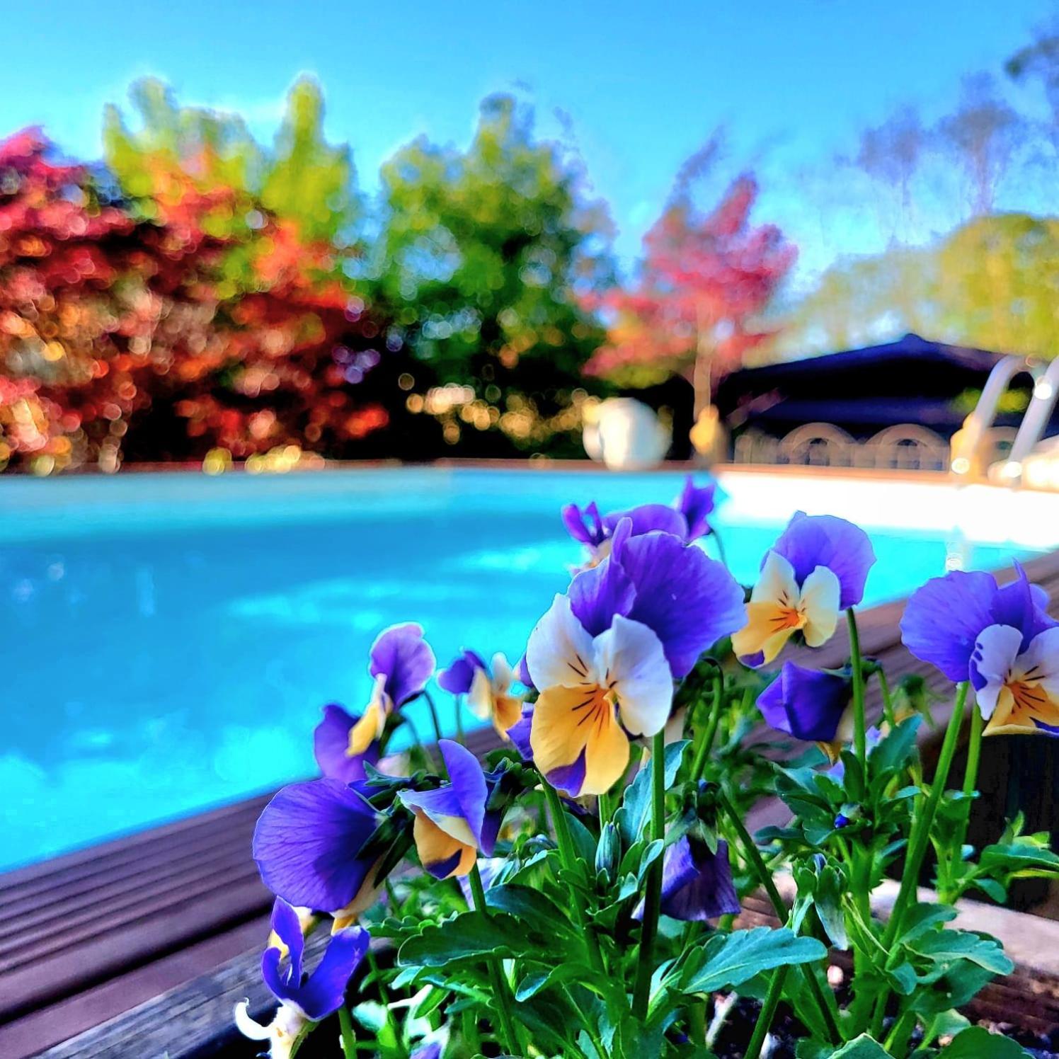 B&B Relais Cascina al Campaccio view 2
