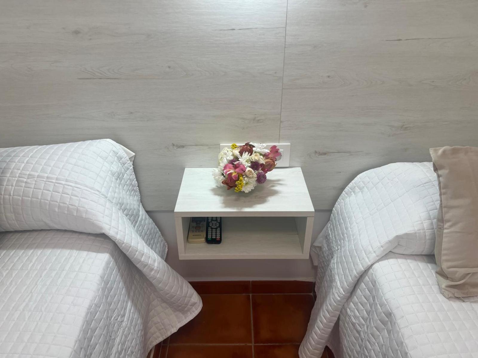 Hostal Los Mellizos