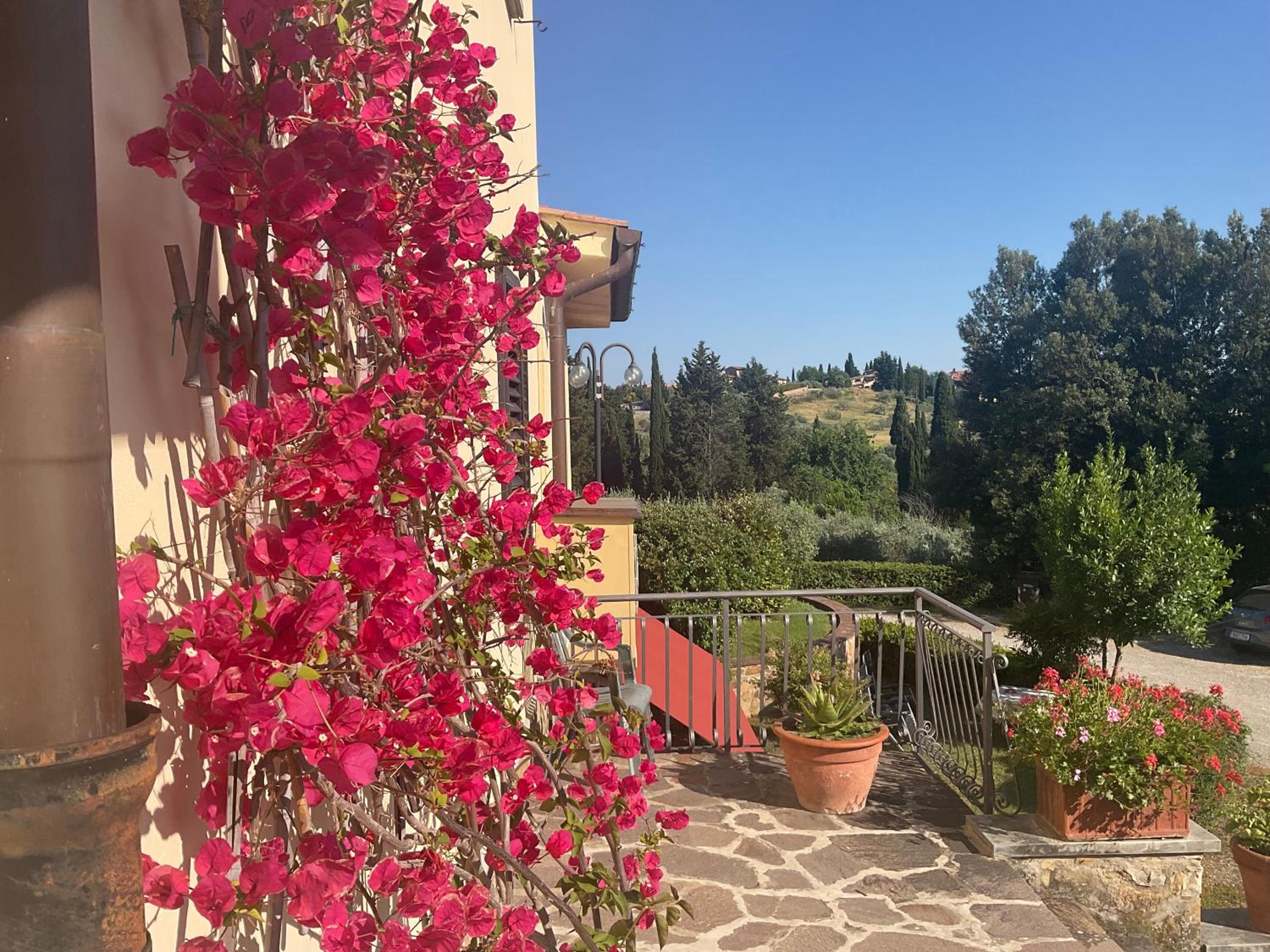 Villa Il Borraccio - Apartments Azalea and Begonia