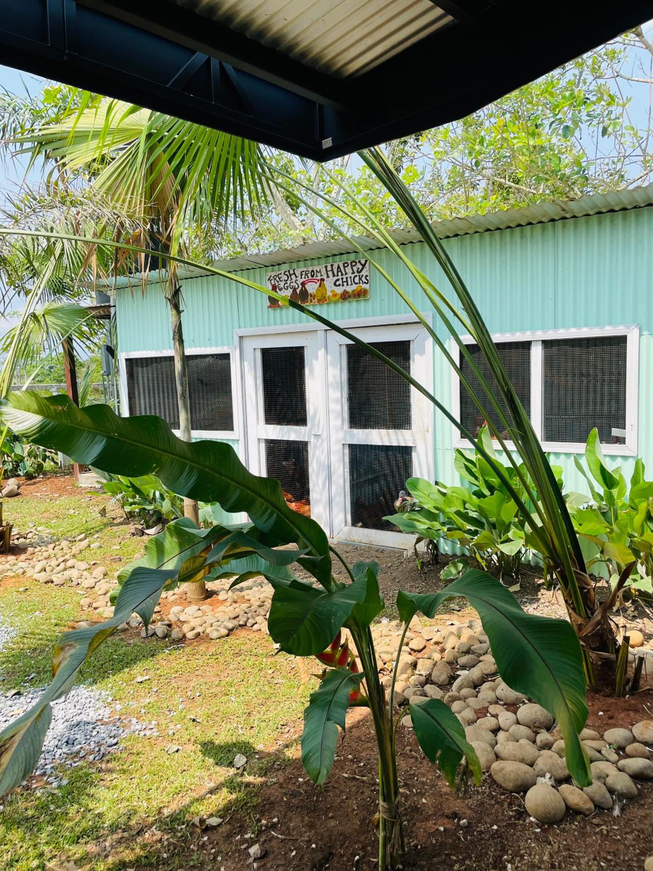Finca Las Marías