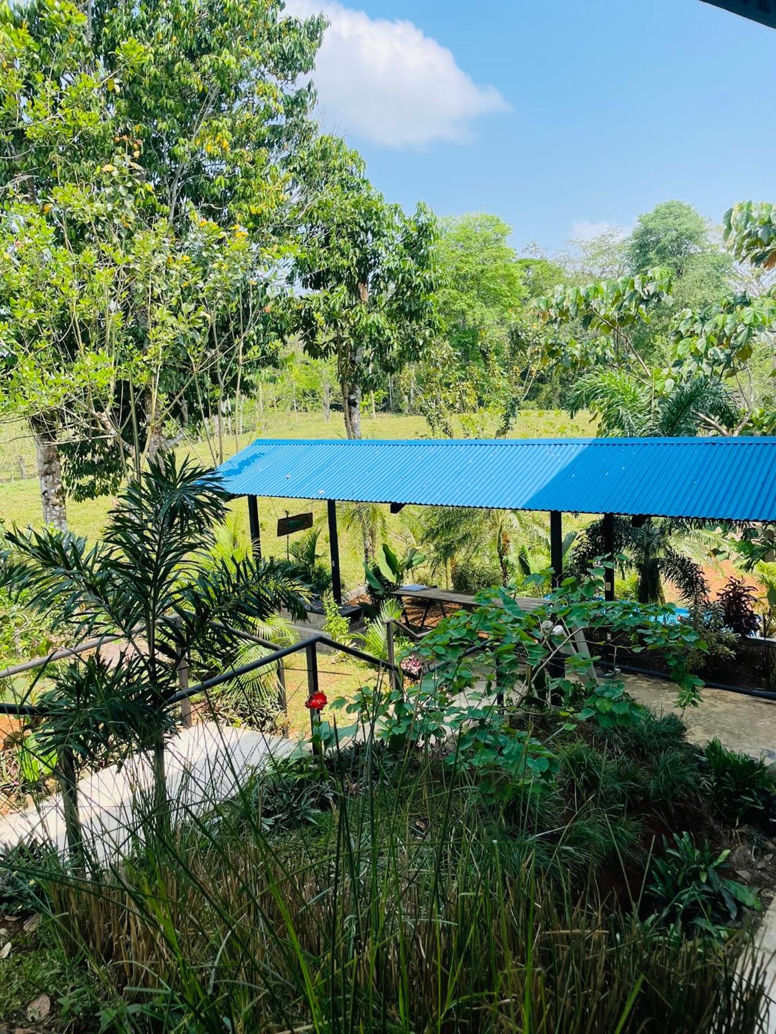 Finca Las Marías