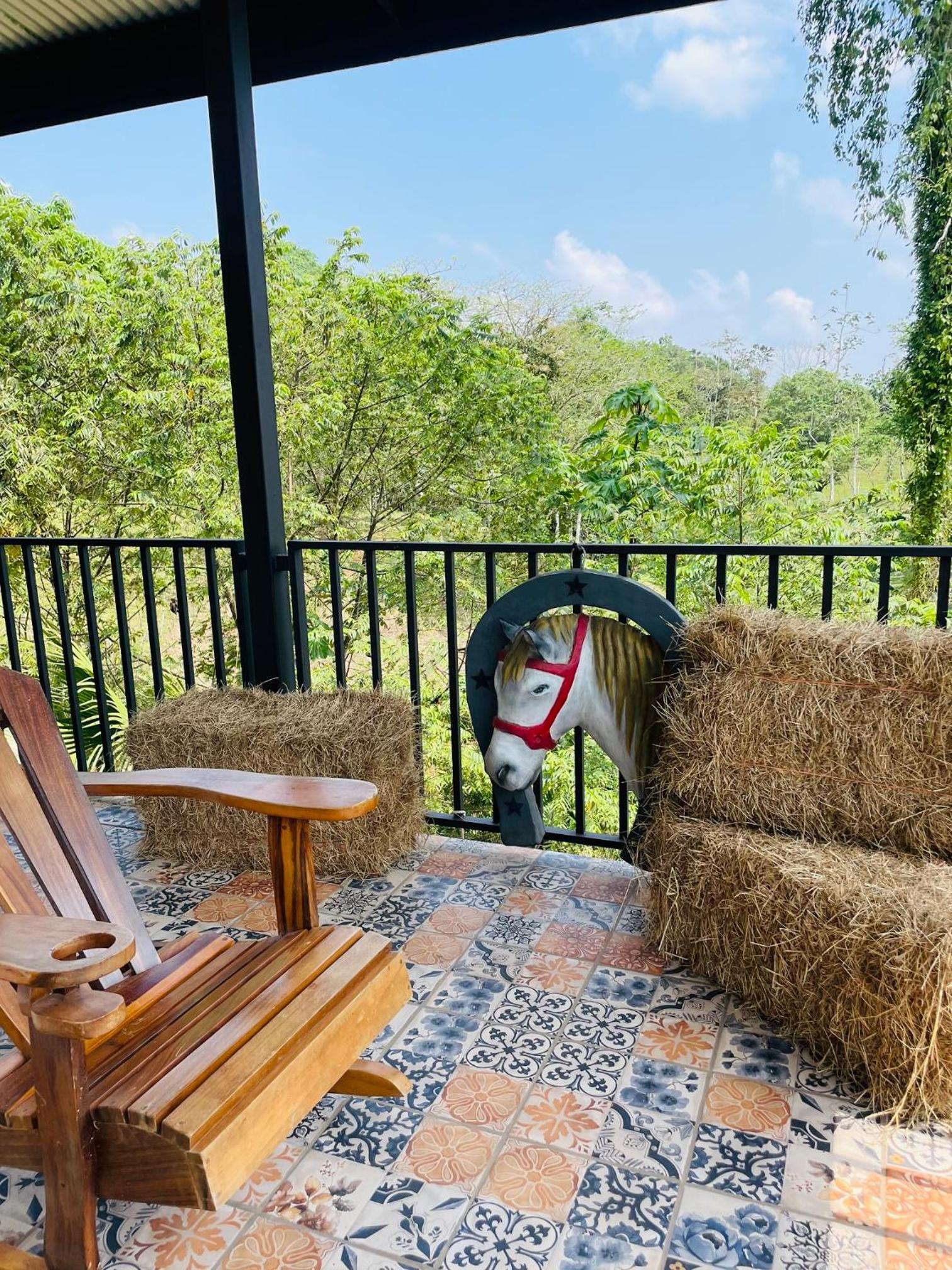 Finca Las Marías