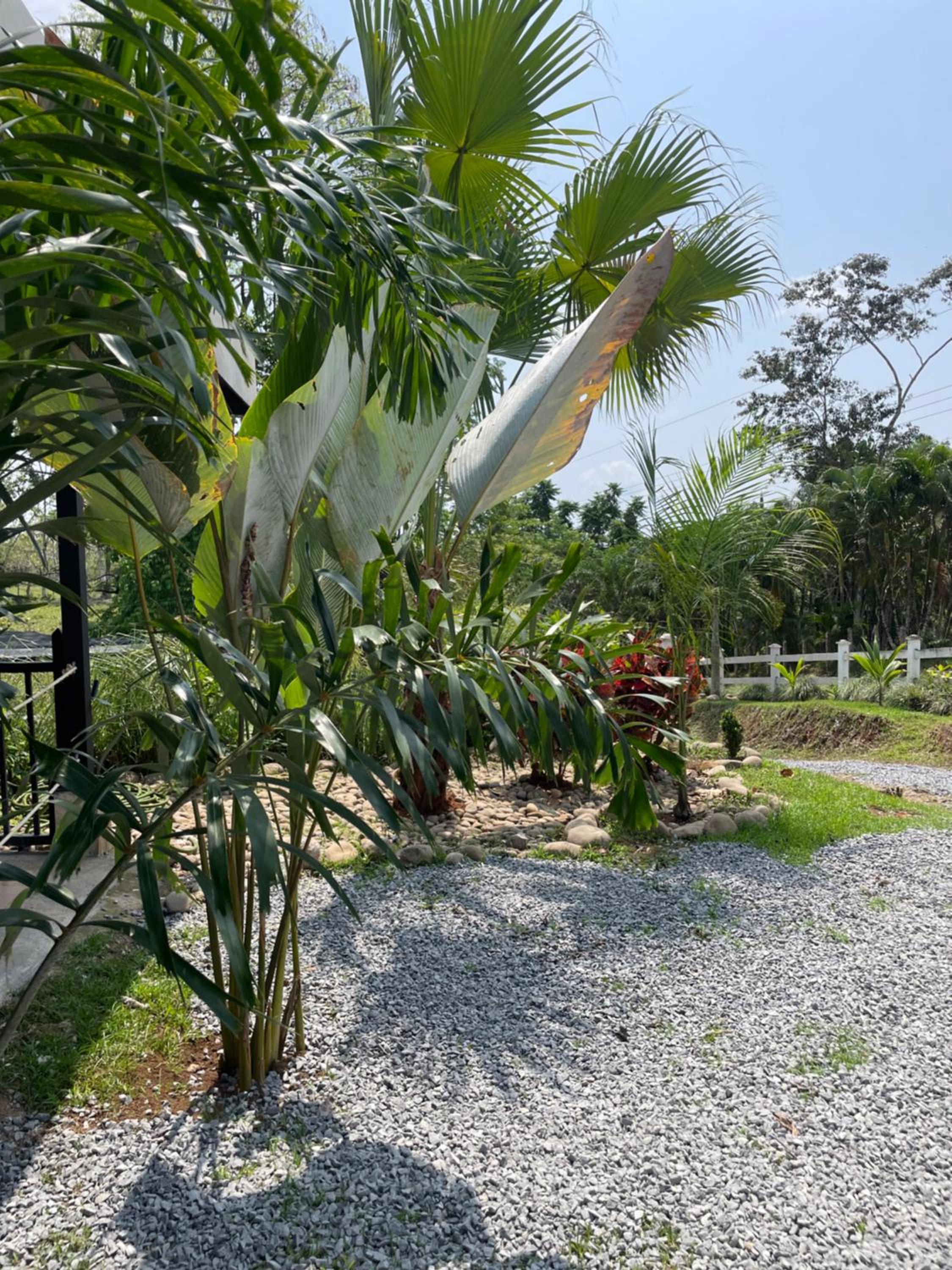 Finca Las Marías