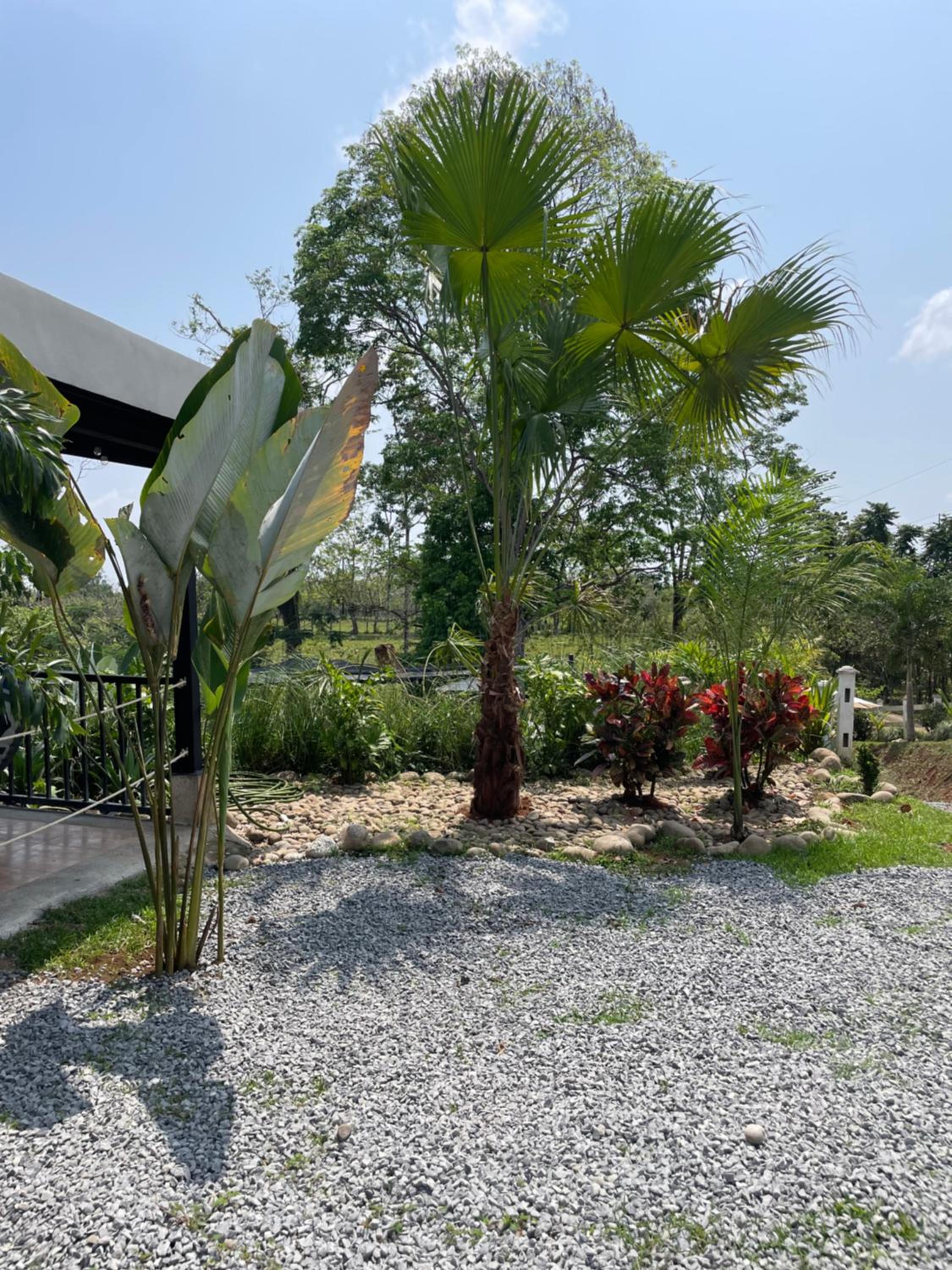 Finca Las Marías