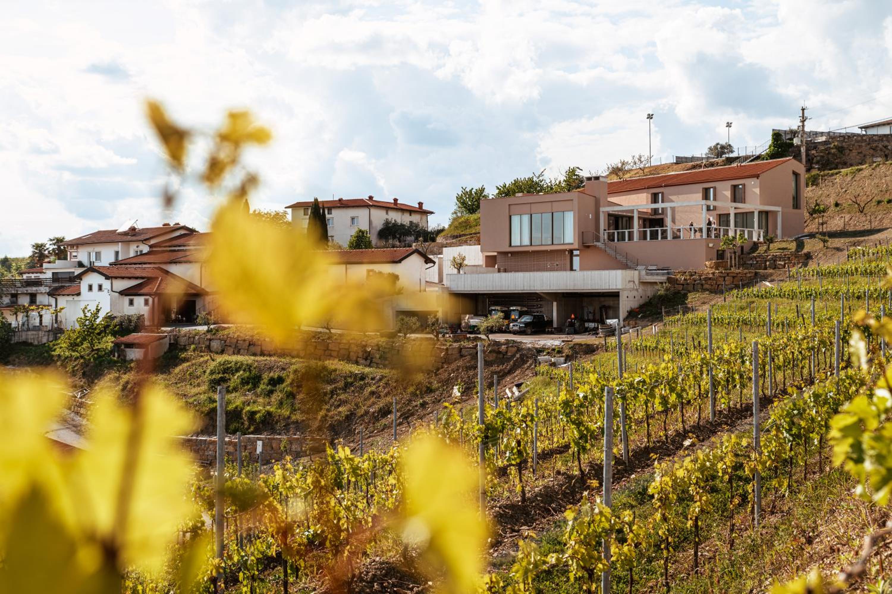 Posestvo Ščurek wine