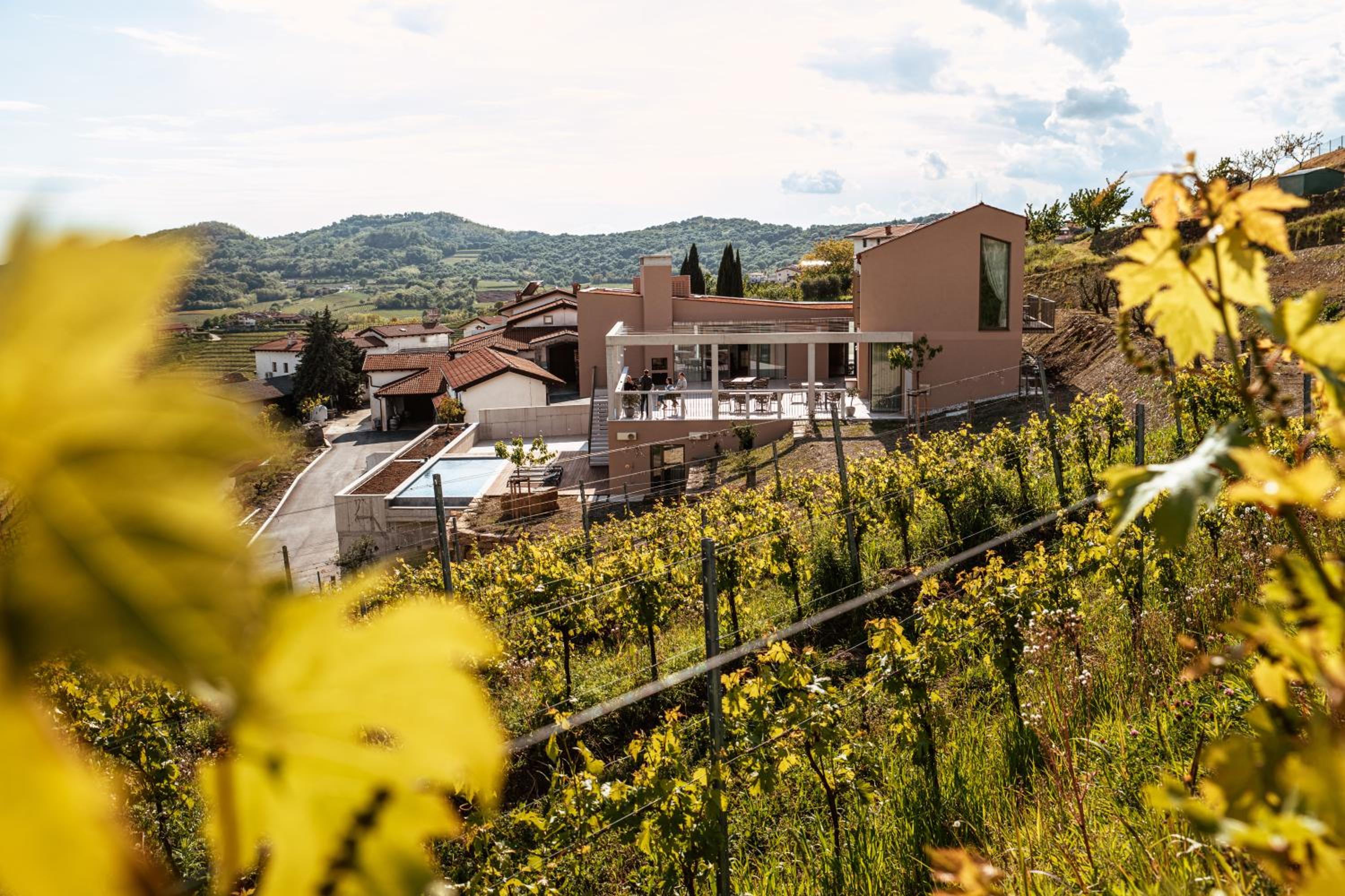 Posestvo Ščurek wine