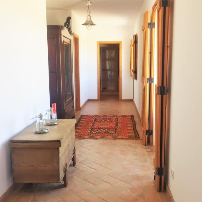 GR ALENTEJO HILLS Nature & Tranquility! Beach 35m view 4